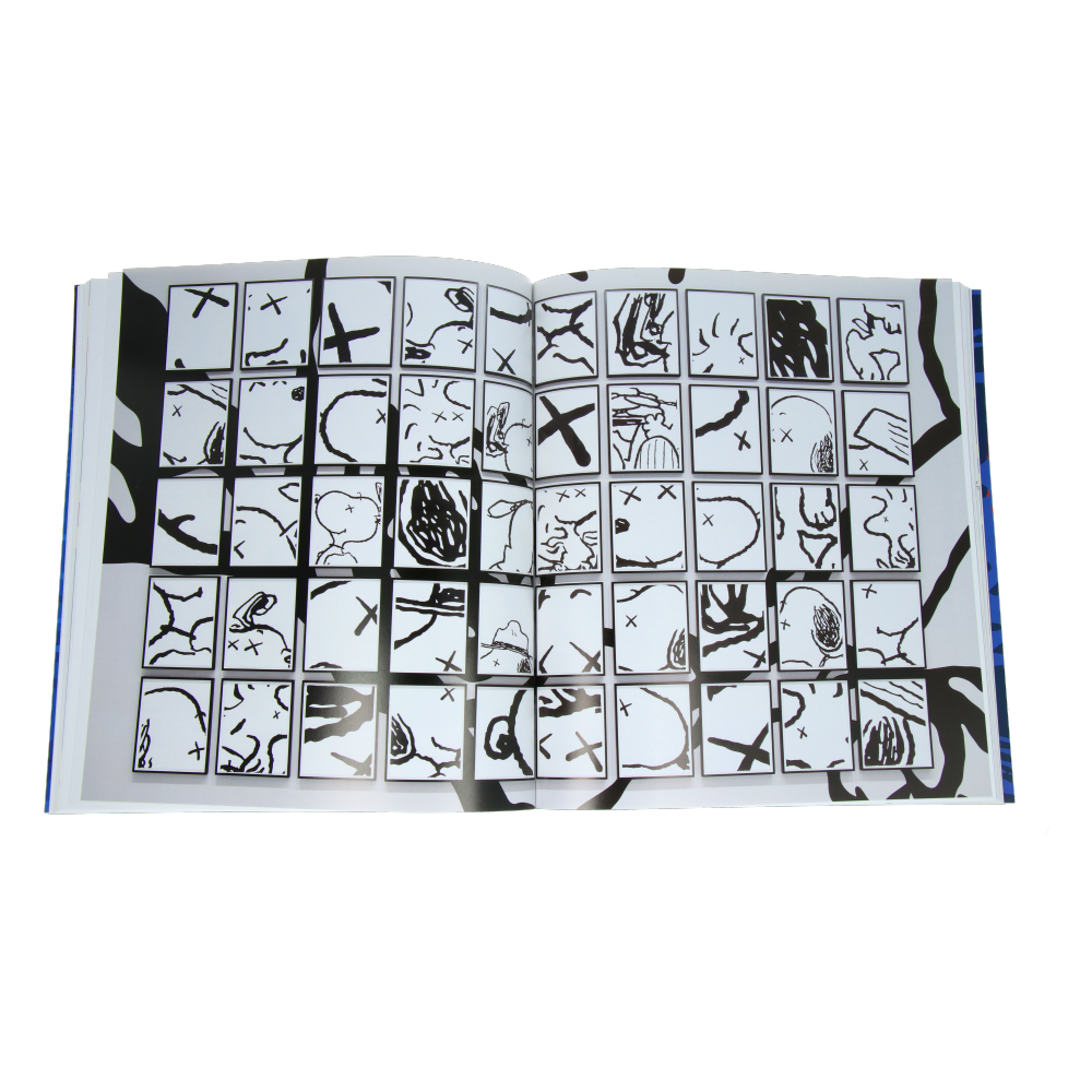 KAWS: Phaidon Book - Art Monograph & Collectible for Home Decor, Office Display, and Gift Giving