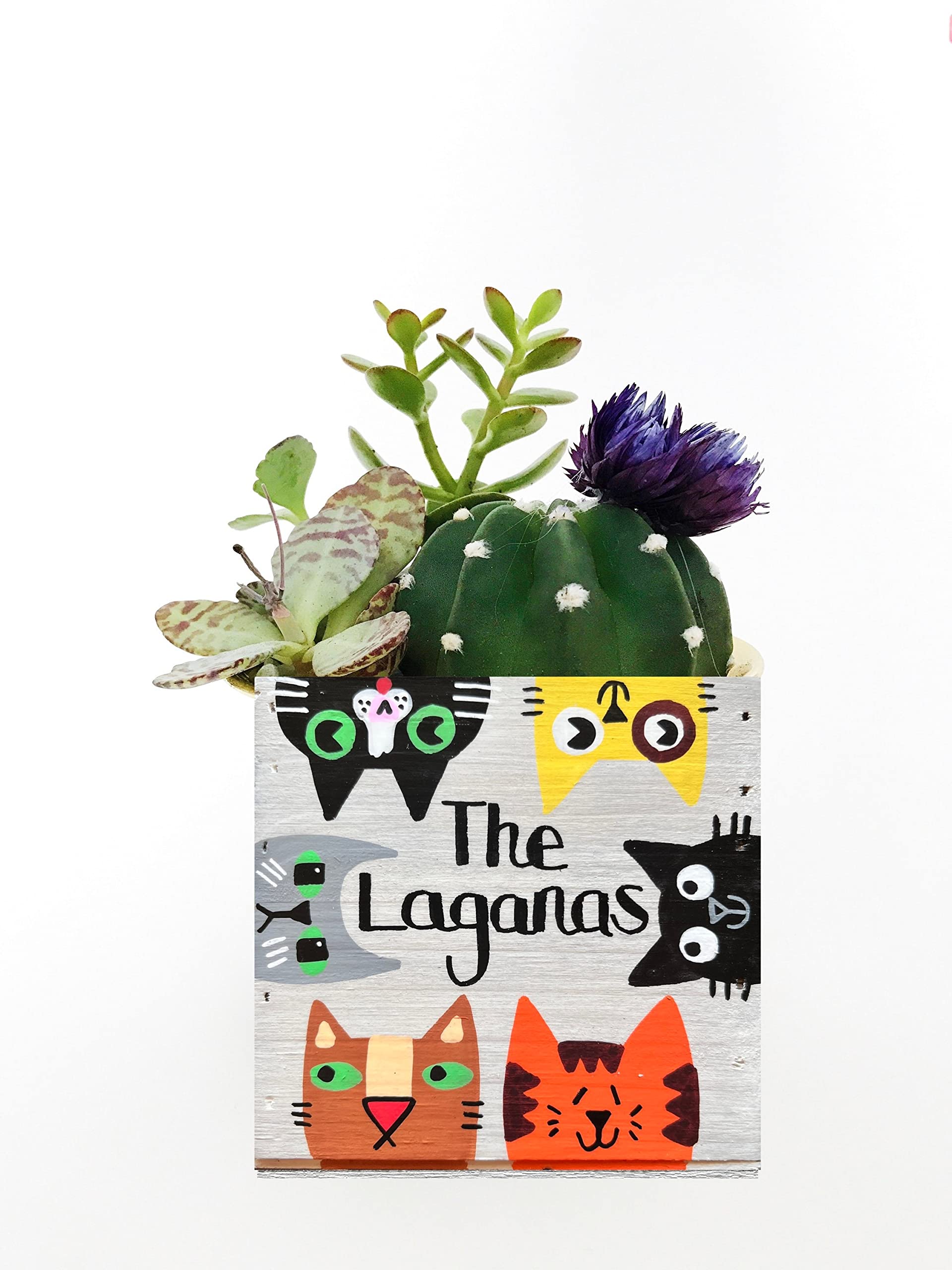 Personalized Cat Planter - Rustic Wood Succulent Garden Box - Unique Gift for Cat Lovers, Cat Lady & Fur Mom - Perfect for Home Decor, Office Desk & Garden Planting