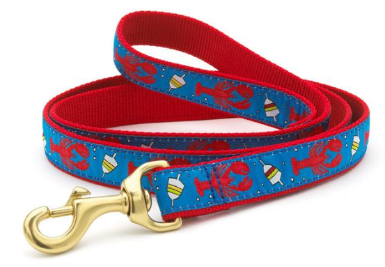 Premium Lobster & Buoy Dog Leash - Heavy Duty Rope Lead for Boating, Beach & Outdoor Adventures - Durable Nautical Themed Pet Accessory for Dogs