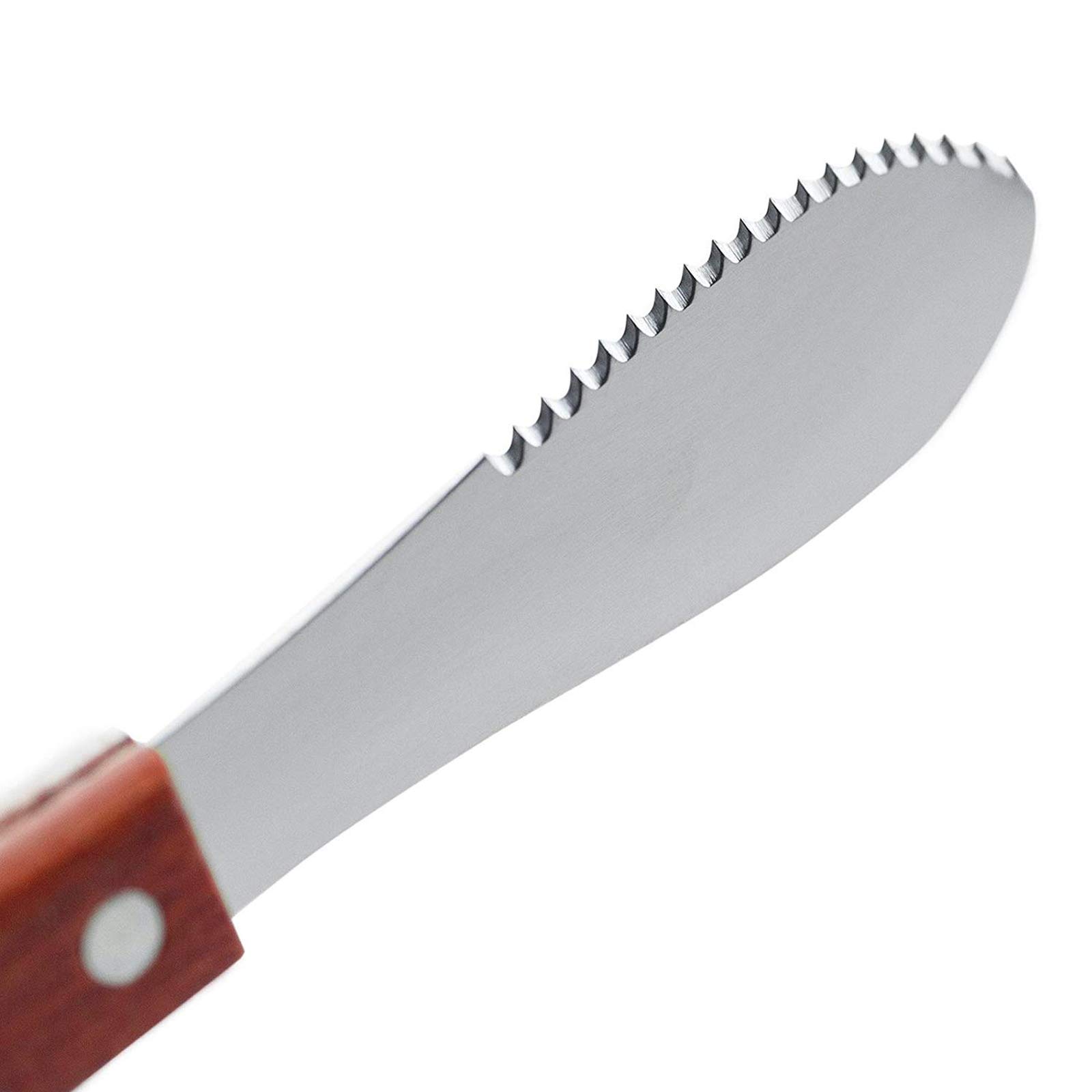 Premium Stainless Steel Butter Knife Set - 8