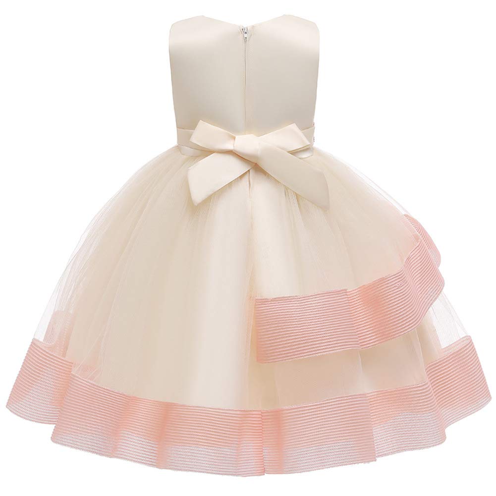 Newborn Baby Girl Lace Bowknot Princess Tutu Dress for Birthday Wedding Party | Elegant Prom Vestido for Kids Toddler | Perfect for Photoshoots Pageants & Special Occasions