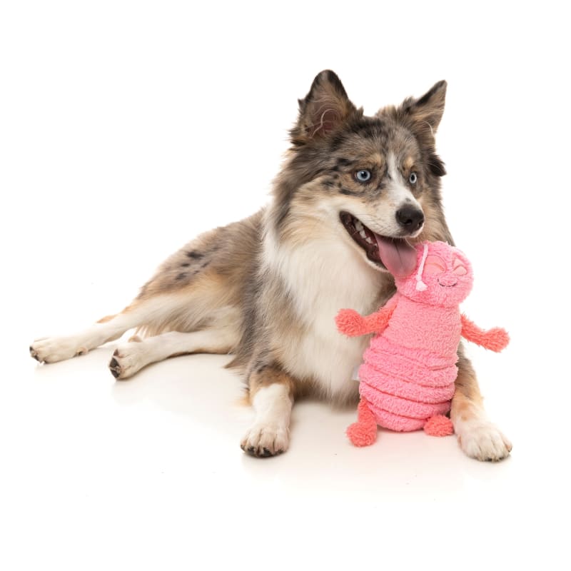 Fuzzyard Flutter The Bed Bug - Pink Plush Dog Toy for Small & Medium Dogs - Soft & Cuddly Chew Toy for Puppies - Perfect for Indoor Play, Cuddling & Training (15% OFF)