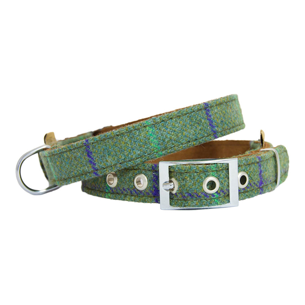 Earthbound Signature Tweed & Leather Dog Collars - Durable & Stylish for Small & Medium Dogs - Perfect for Daily Walks, Training & Outdoor Adventures