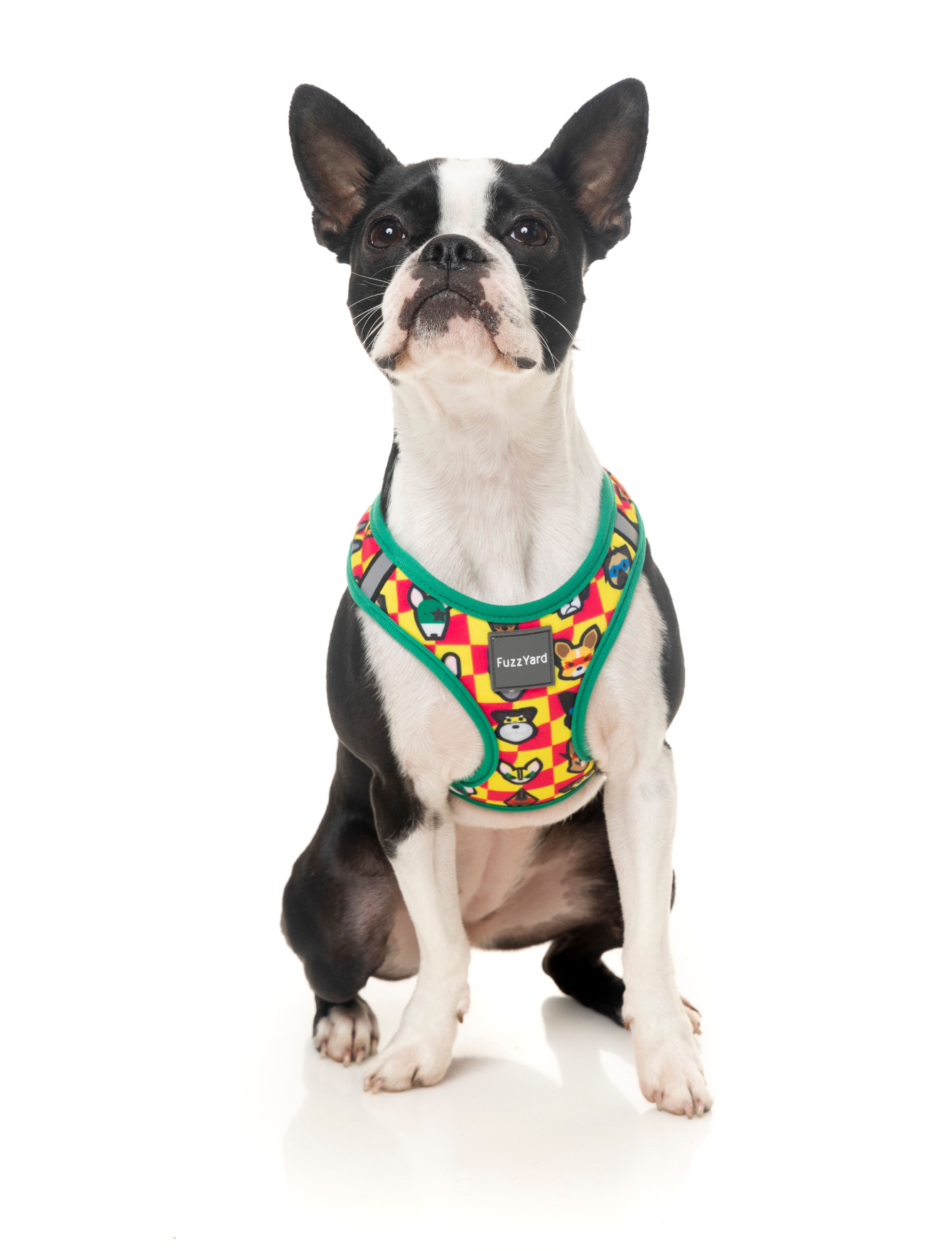 FuzzYard Step-in Dog Harness - Adjustable & Reflective for Small, Medium & Large Dogs (6 Sizes) | Perfect for Walking, Running & Outdoor Adventures