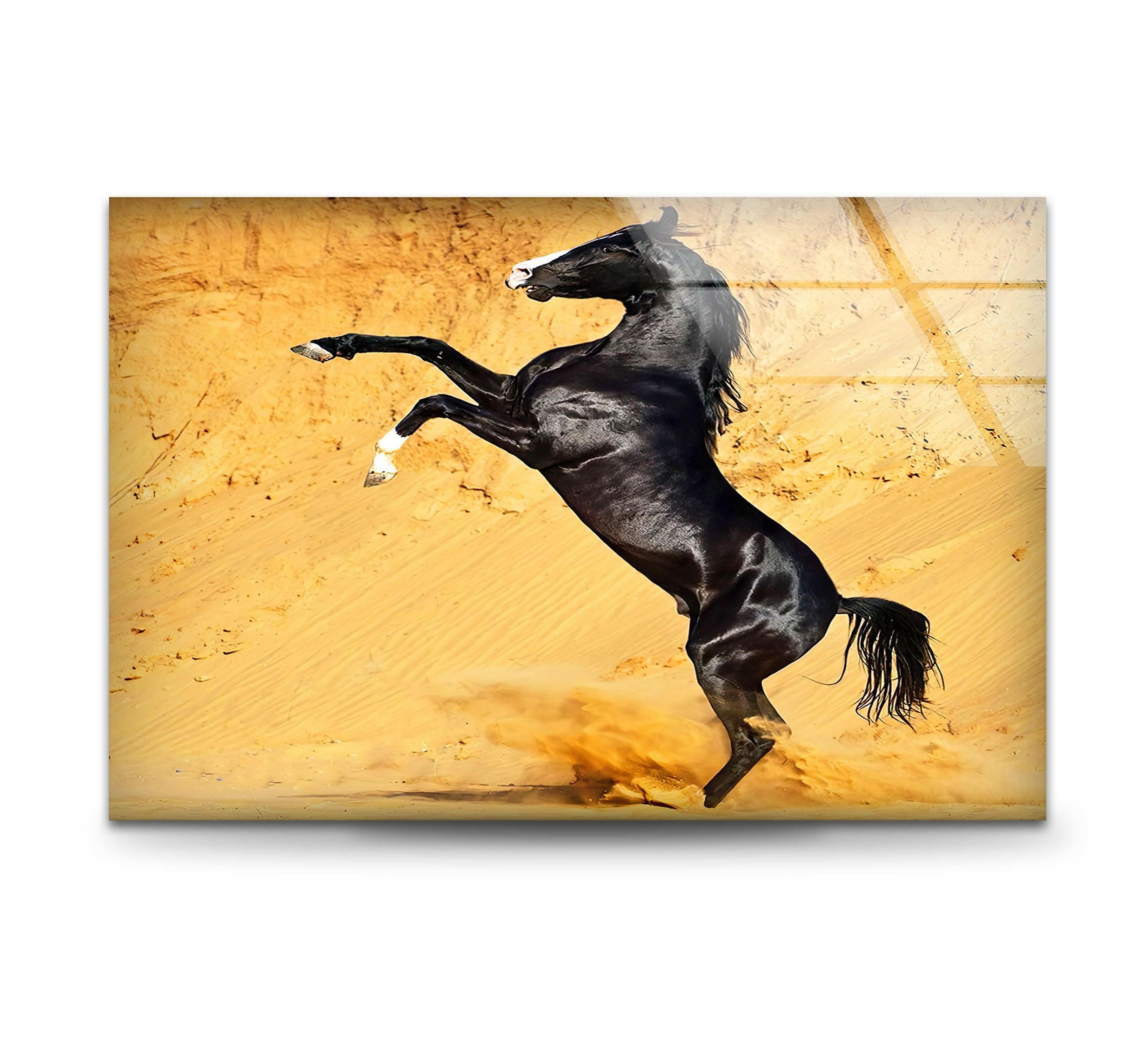 Black Horse on Desert Glass Wall Art - Stunning Home Decor for Living Room, Bedroom & Office | Modern Abstract Painting for Unique Interior Design