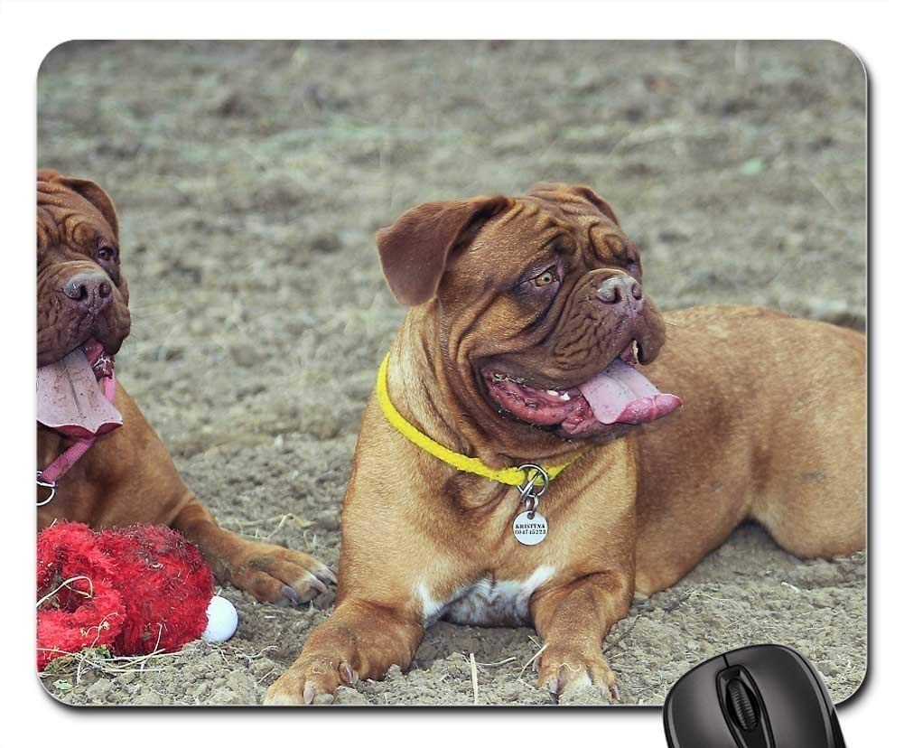 Premium Gaming Mouse Pad with Bordeaux Mastiff Dog Design - Non-Slip Rubber Base & Smooth Surface for PC, Laptop, Office & Gaming Setup - Perfect for Esports, Work & Home Use