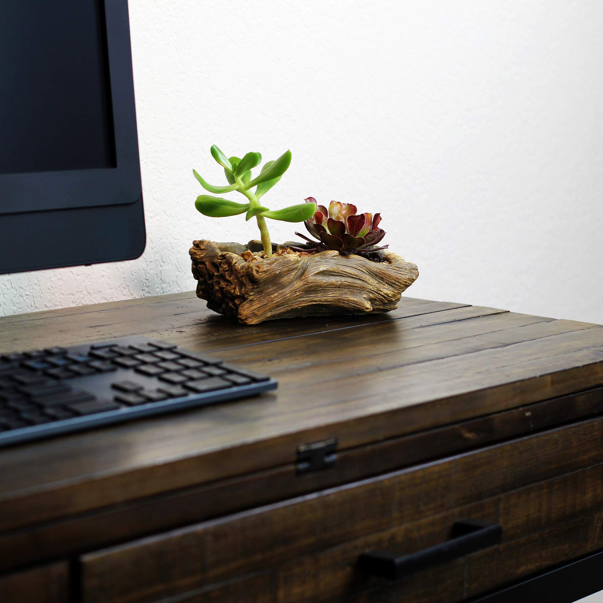 Ceramic Wood Plant Pot - Indoor Wood Planter for Succulents, Flowers & Small Plants | Unique Driftwood Whale Log Planter | Perfect for Home Decor, Office Desk & Gift Ideas