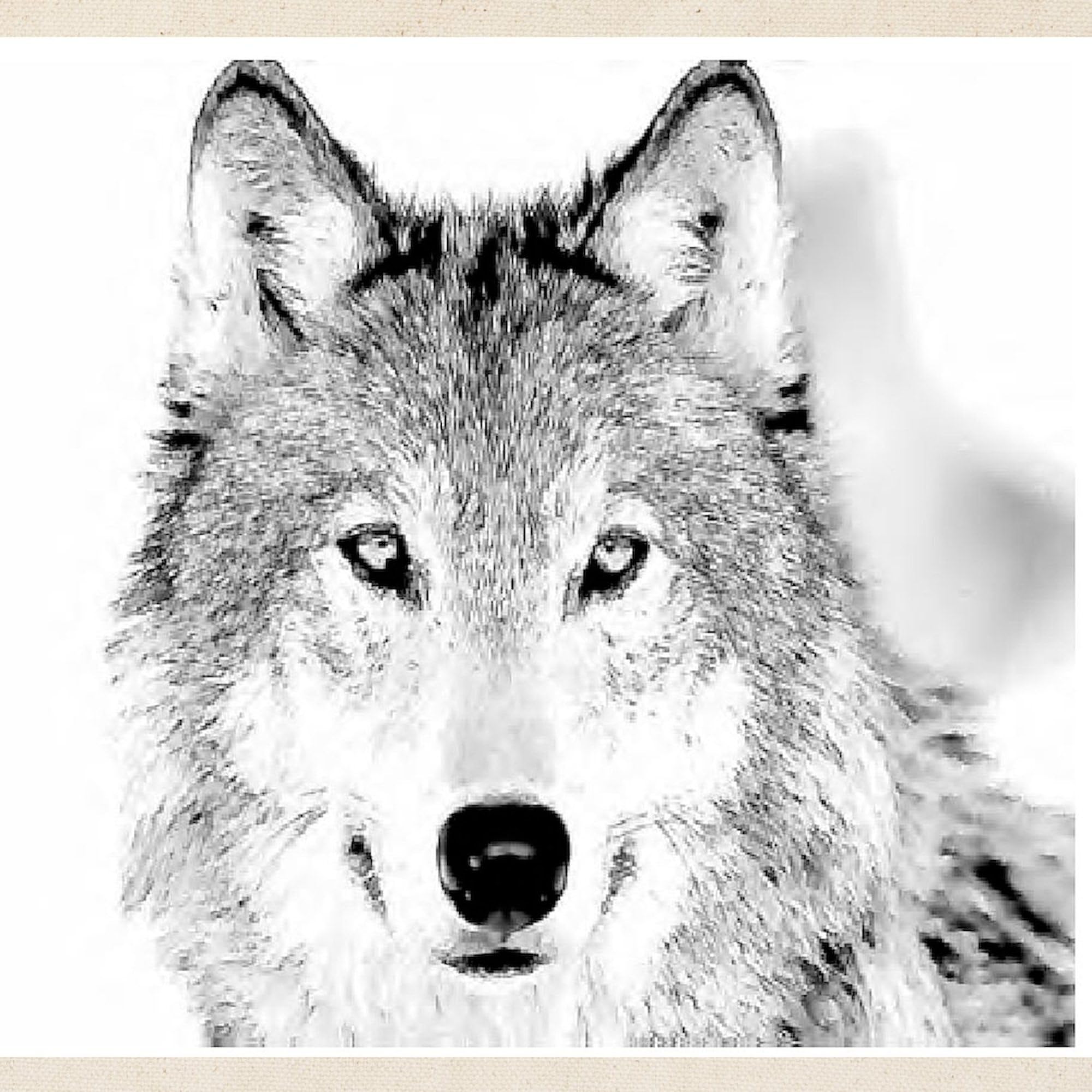 Great White Wolf Tote Bag - Natural Canvas Reusable Shopping Bag for Groceries, Beach & Everyday Use | Eco-Friendly Cotton Tote with Unique Wolf Design