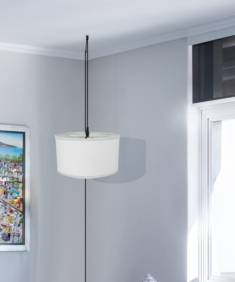 1 Light Swag Plug-in Pendant Lamp with 18