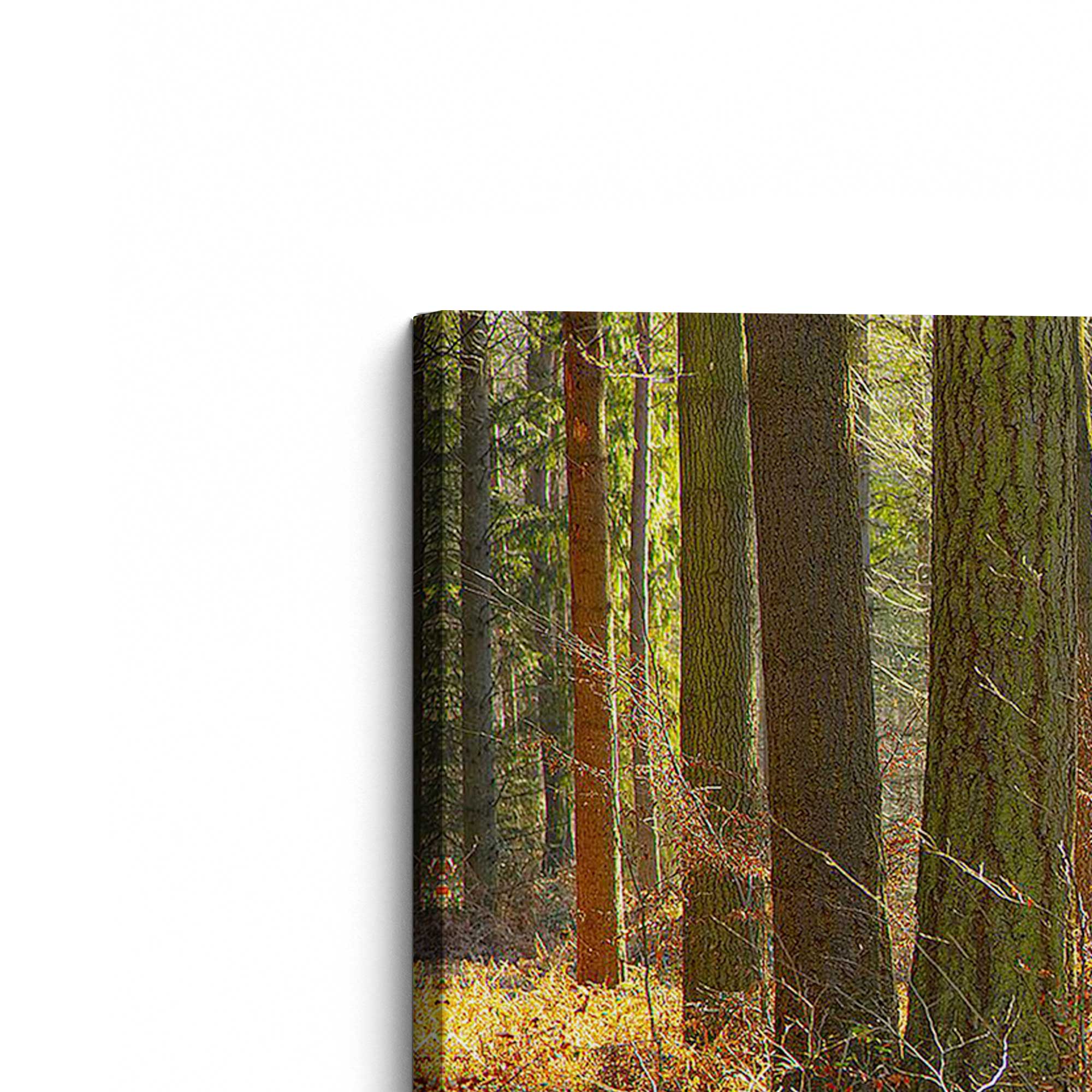 Autumn Whispers in Normandy Landscape Canvas Wall Art Print - Perfect for Living Room, Bedroom & Office Decor