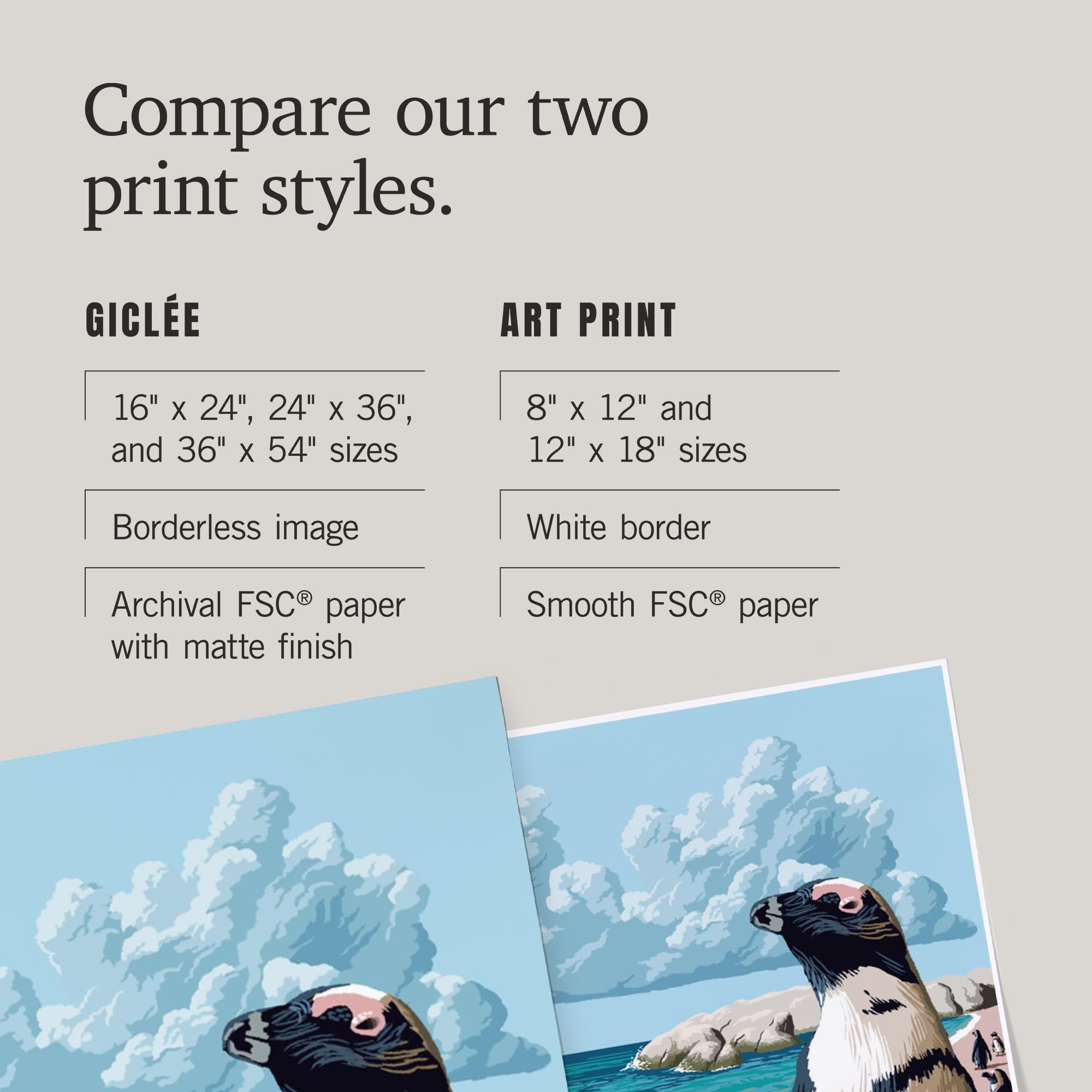 Lantern Press 16x24 Inch Giclee Print - Black Footed Penguins Wall Art | Premium Wildlife Decor for Living Room, Office & Nursery