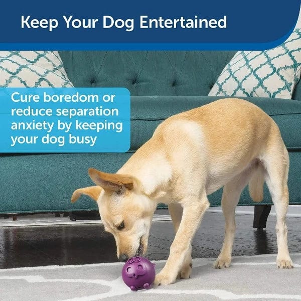 Busy Buddy Interactive Treat Dispensing Dog Toy - Fun Chew Toy for Small & Large Dogs - Perfect for Boredom Relief & Training - Indoor & Outdoor Play