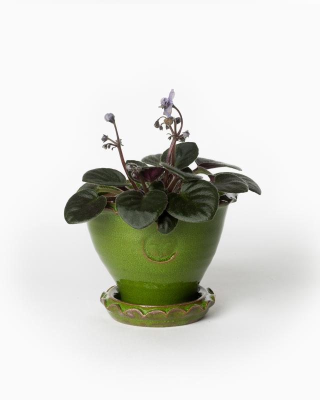 Kruka Sturehof Adelcrantz 11cm Green Ceramic Plant Pot - Perfect for Indoor Plants, Succulents, and Home Decor