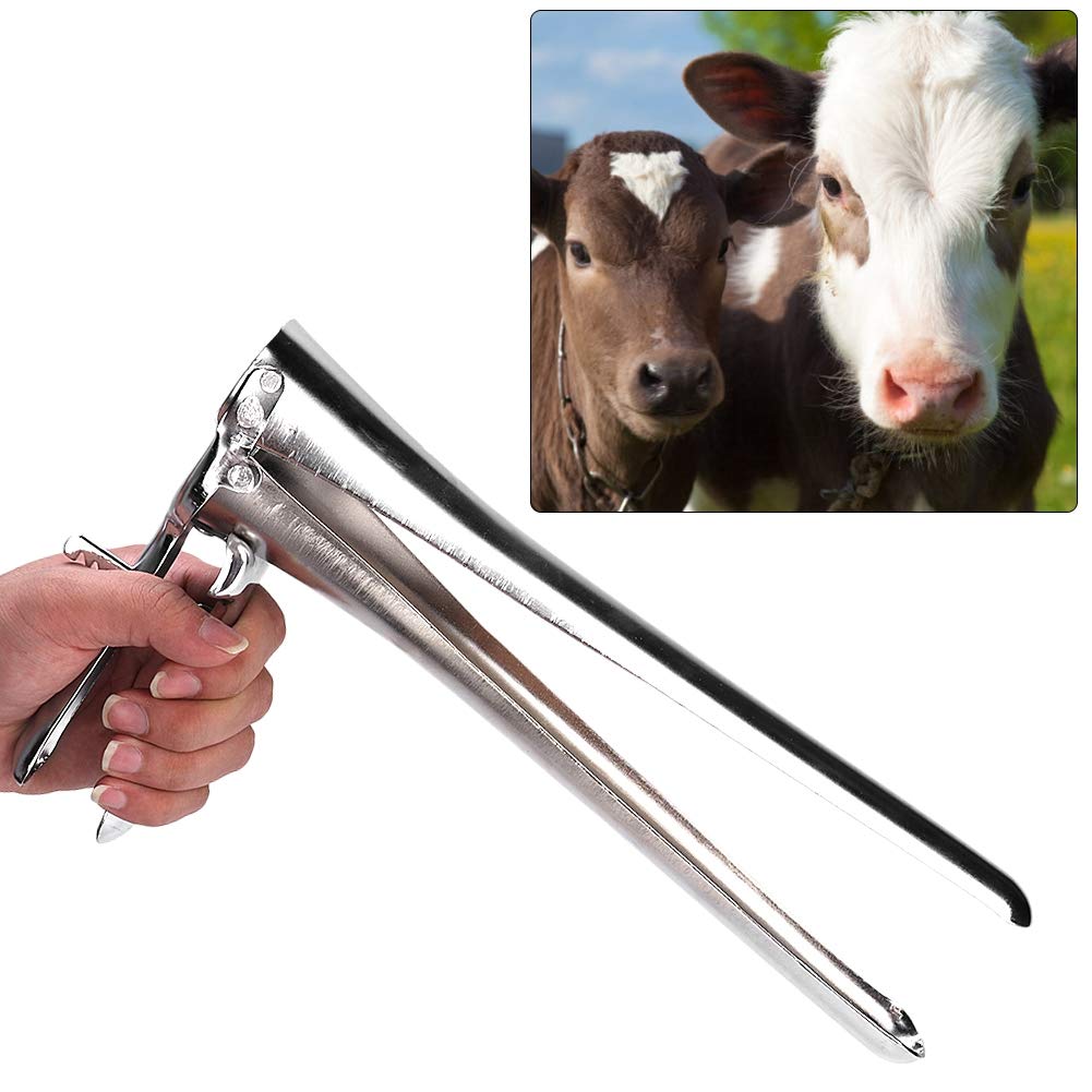 Veterinary Cattle Vaginal Dilator Speculum - Livestock Breeding & Calving Aid Tool for Cows - Essential Veterinary Instrument for Cattle Reproduction & Artificial Insemination (Perfect for Dairy Farms, Veterinary Clinics & Livestock Breeding Operations)