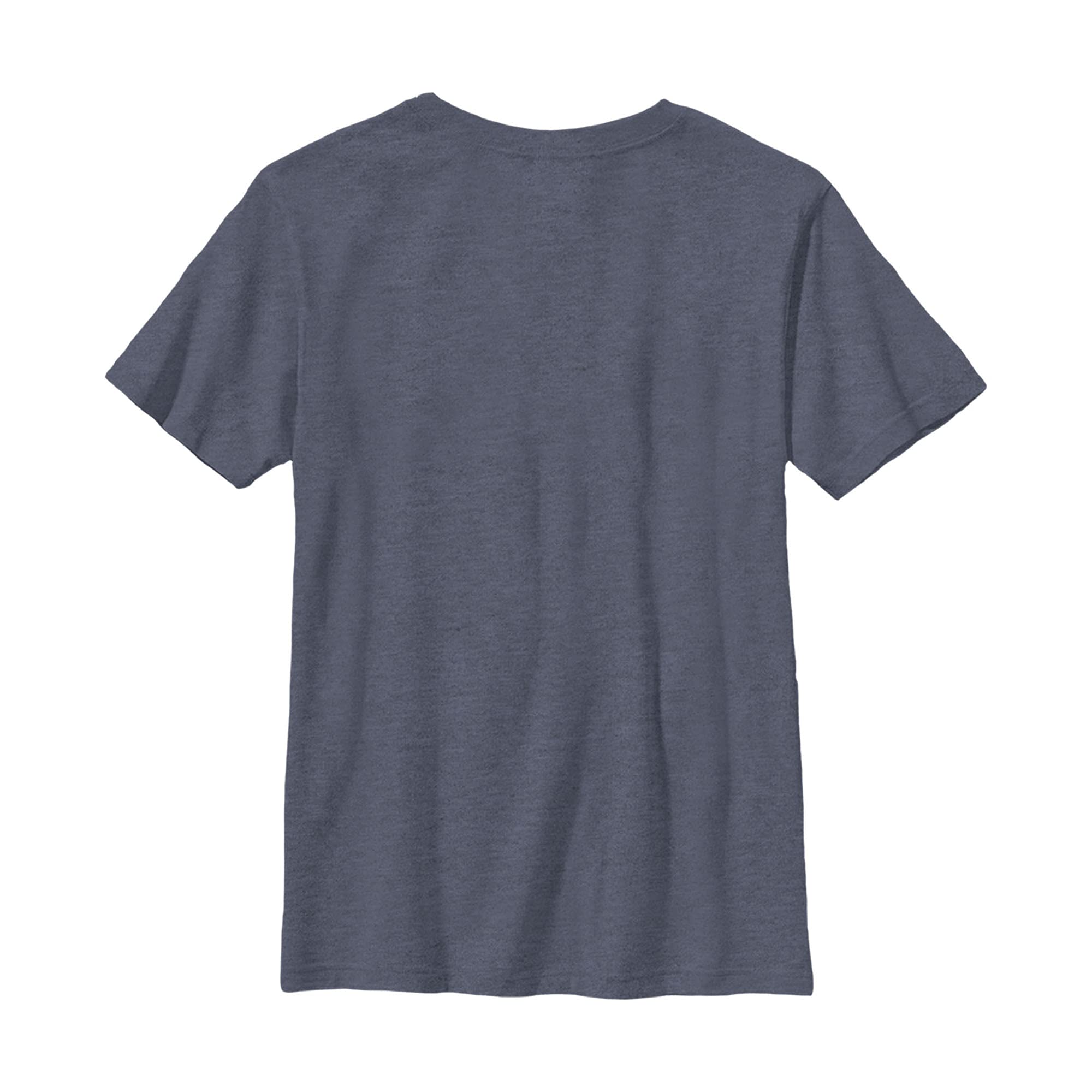 Boys DC Super-Pets Tighten Collar T-Shirt for Kids Play