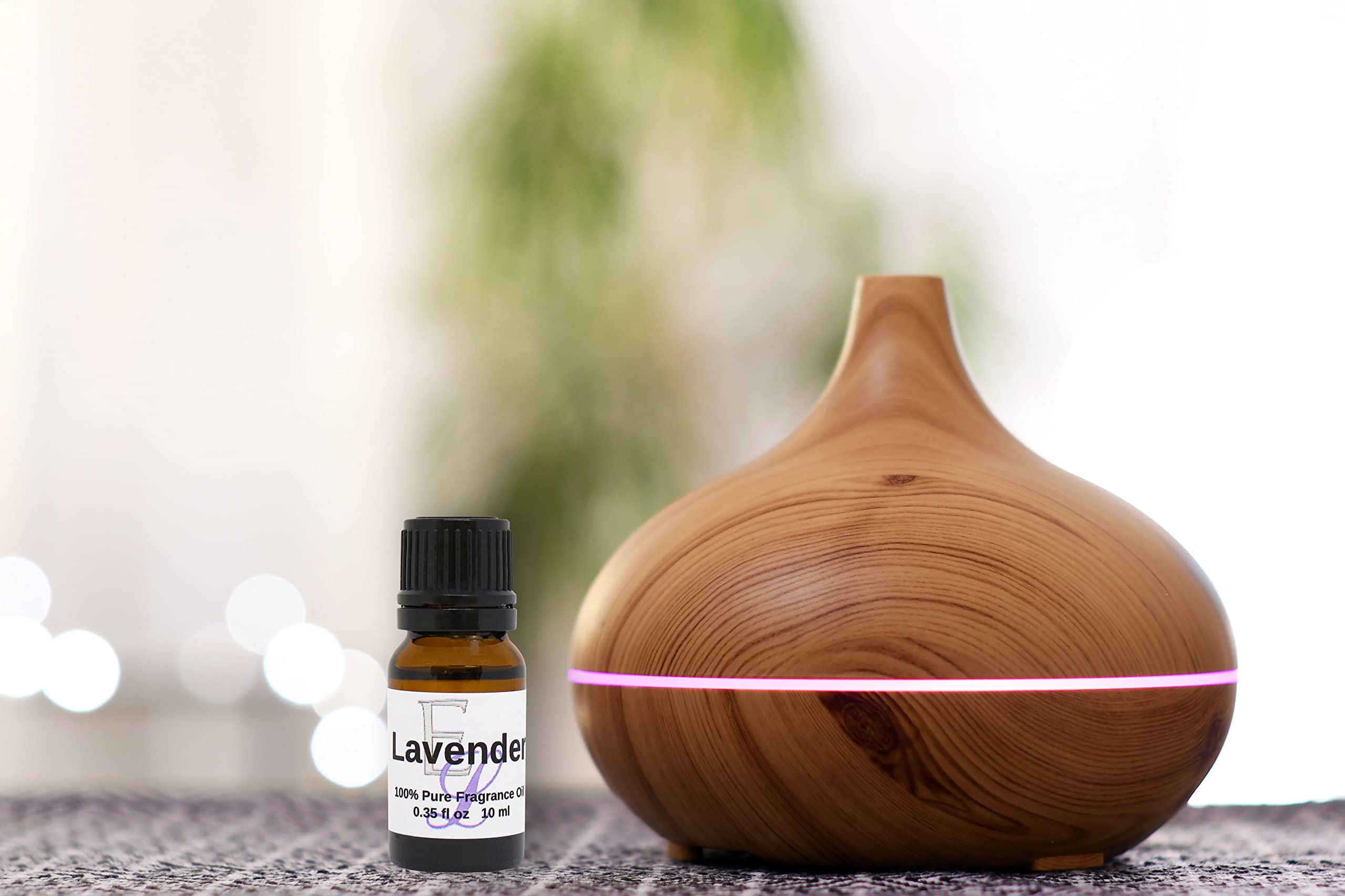 Eclectic Lady Funnel Cake Fragrance Oil - 10ml Premium Long-Lasting Aromatherapy Diffuser Oil for Home, Spa & Relaxation | Sweet Bakery Scent for Candles, Soaps & DIY Projects