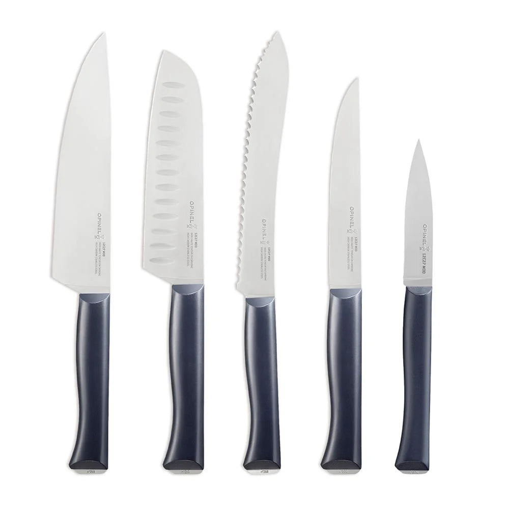 Opinel Intempora 5-Piece Knife Block Set - High Carbon Stainless Steel Kitchen Knives with Wooden Stand - Perfect for Home Cooking, BBQ, and Food Preparation