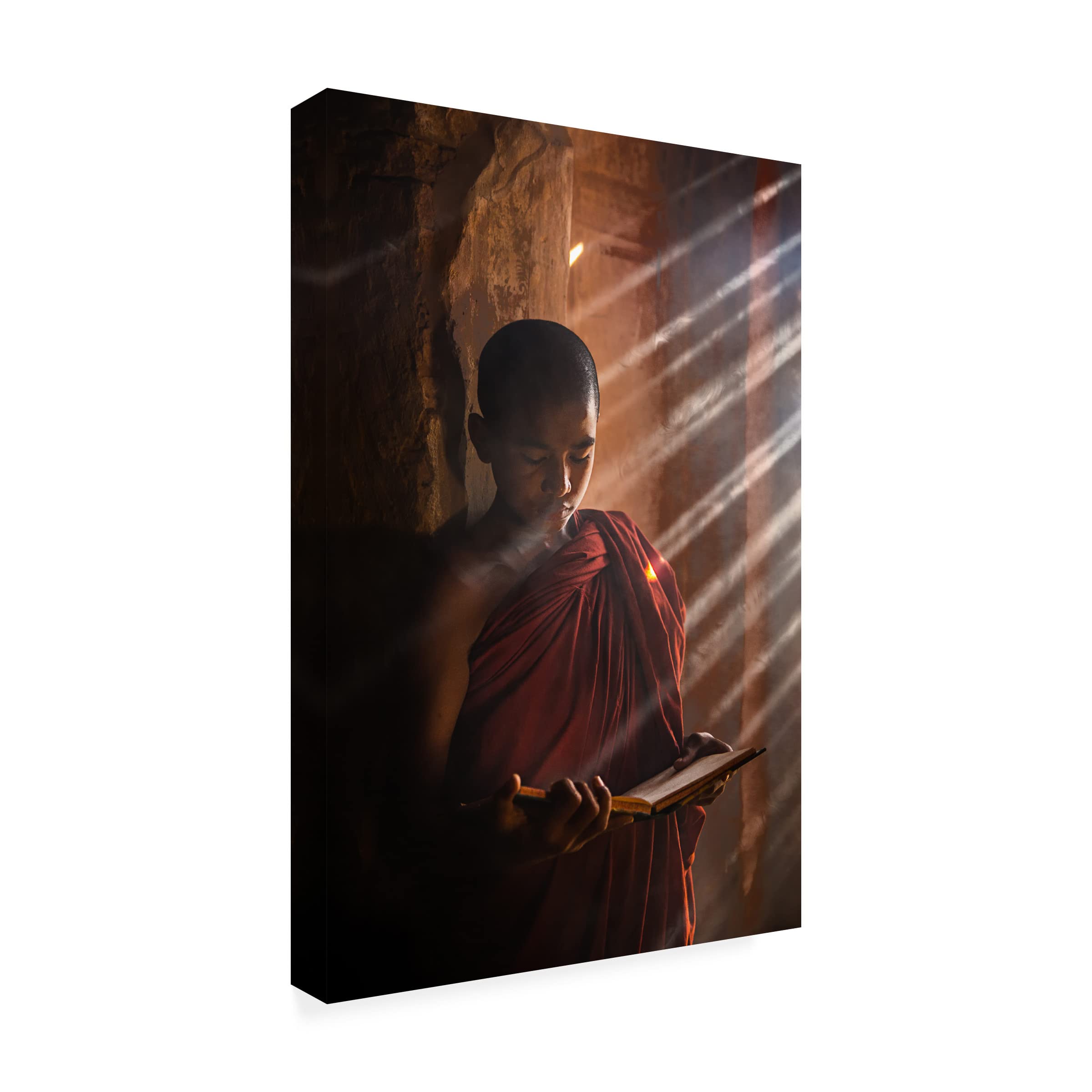 Trademark Fine Art 'Novice' Canvas Painting by Amnon Eichelberg - Stunning Wall Art for Living Room, Bedroom & Office Decor