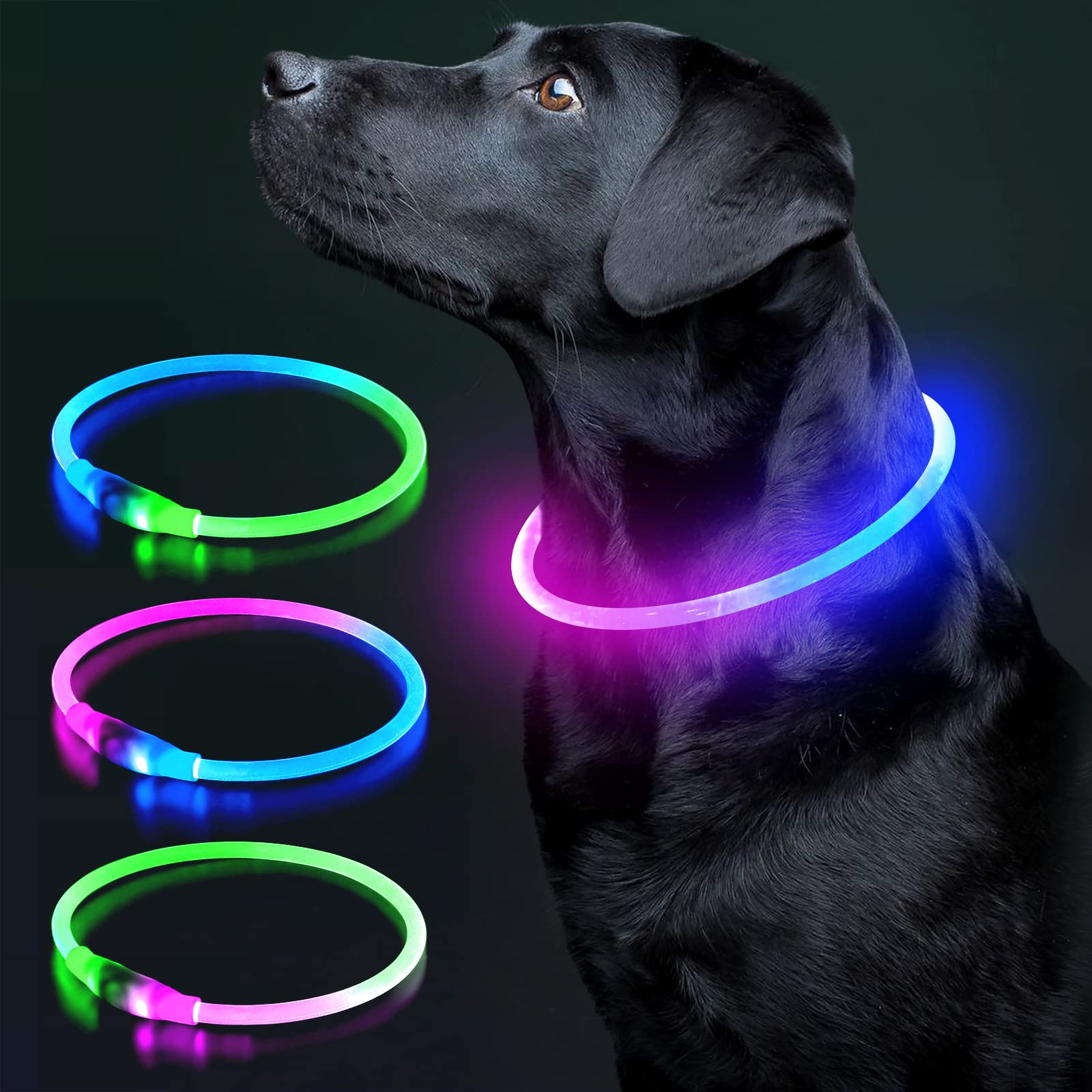 Colaseeme LED Dog Collar - USB Rechargeable Glow Safety Collar for Small Medium Large Dogs (Blue & Pink) | Night Walking, Jogging & Outdoor Adventures