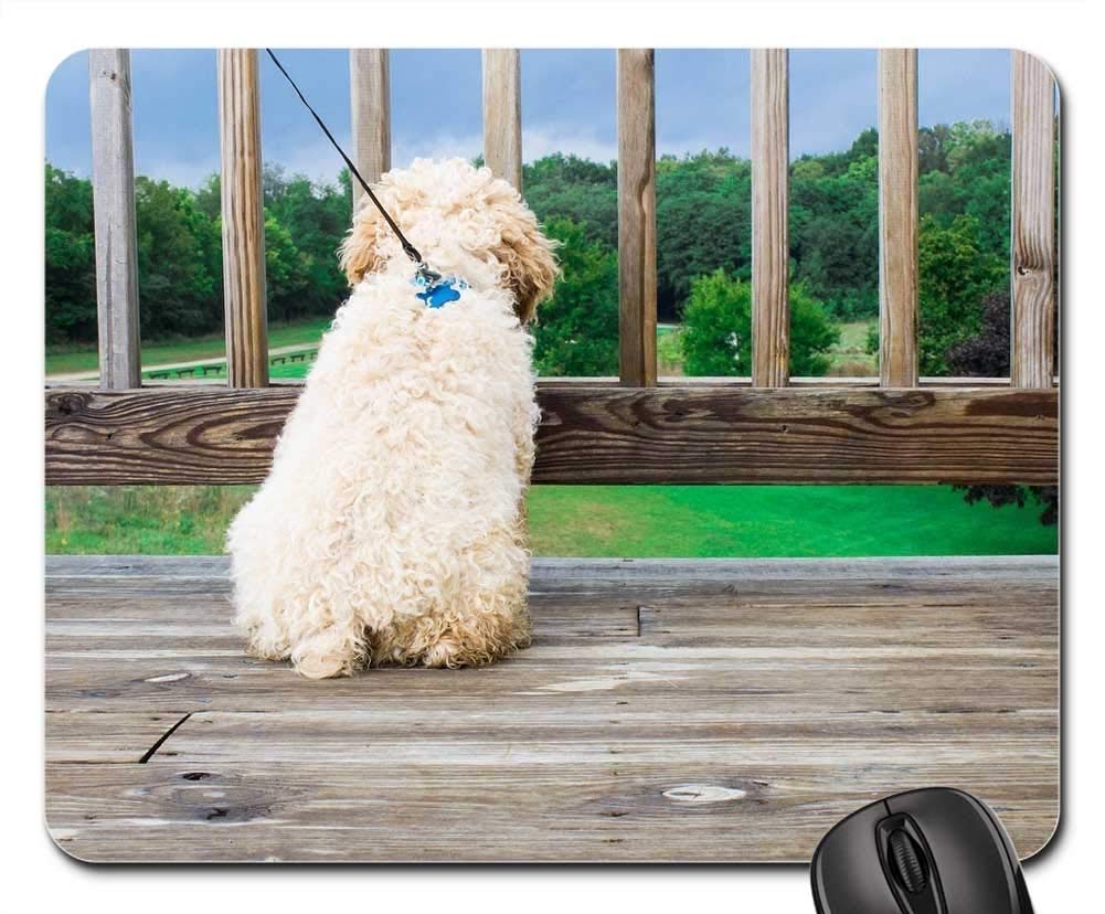 Best Gaming Mouse Pads & Cute Dog Leash - Non-Slip Mouse Mat with Animal Puppy Design, Nature Landscape Theme for PC Gamers & Pet Lovers - Perfect for Home Office, Gaming Setup & Outdoor Walks