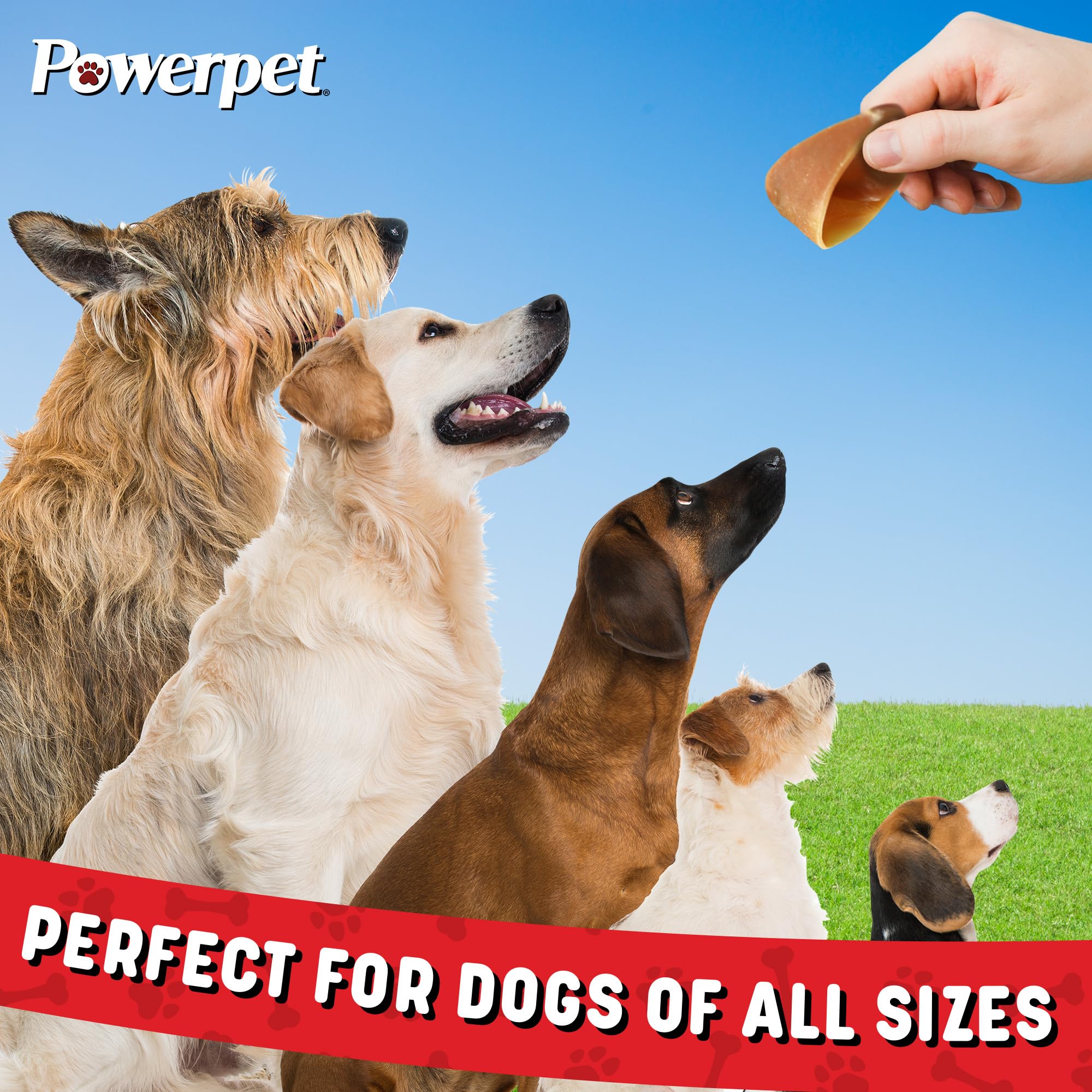 PowerPet 100% Natural Cow Hooves for Dogs - Long-Lasting Dental Chews for All Breeds, Tartar Control & Boredom Relief, Large Size Hoof Chew Treats (20 Pack) - Perfect for Aggressive Chewers, Teething Puppies & Dental Health Maintenance