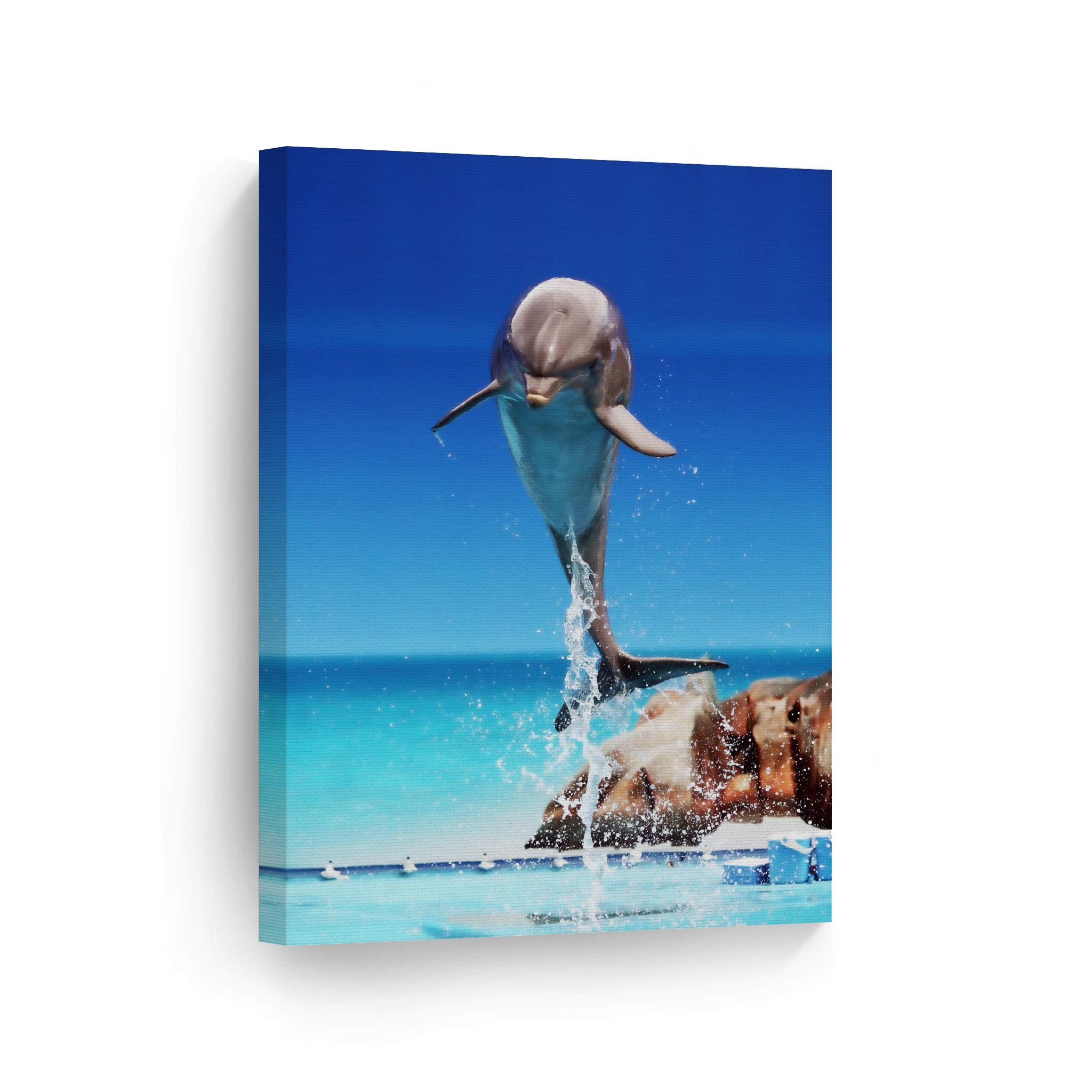 Dolphin Canvas Wall Art Print - Blue Sky Marine Animal Portrait, Ocean Sea Nautical Decor for Coastal, Office, Living Room, Bedroom & Nursery - Ready to Hang 36x24 - Perfect for Beach House, Kids Room & Marine Theme Decor