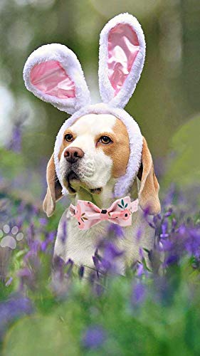 Elegant Bow Tie Dog Collar with Adjustable Fit - Comfortable Pet Collar for Small, Medium & Large Dogs & Cats - Perfect for Weddings, Parties & Daily Walks