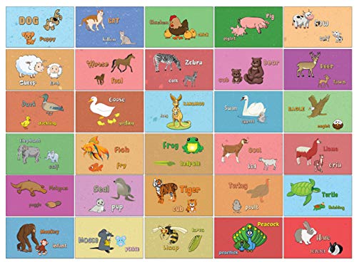 Their Parents Learning Cards (30 Cards)