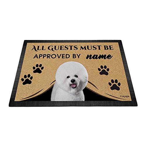 Bichonfrise-2
