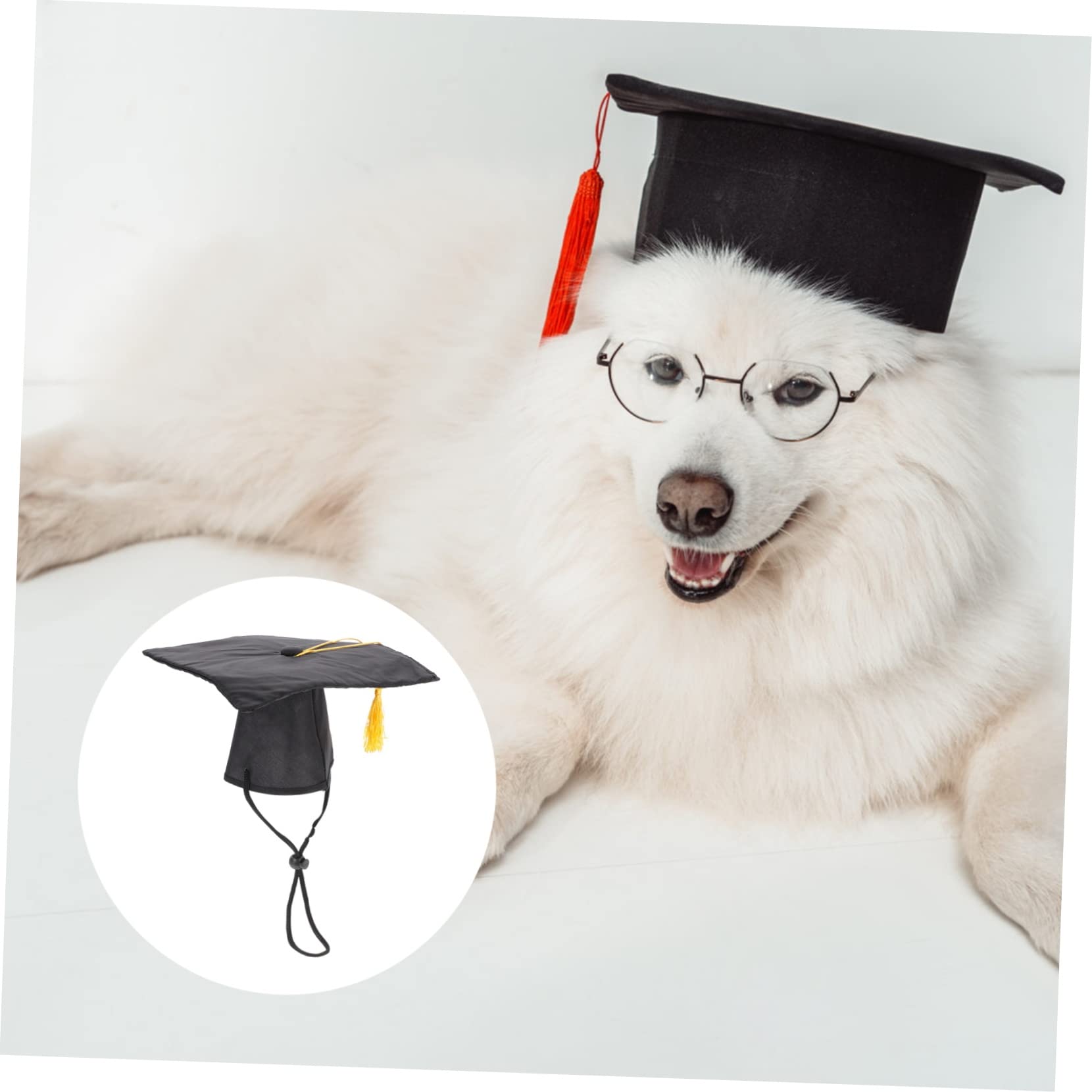 Dog Graduation Cap for Small Dogs - Puppy Graduation Hat for Chihuahua & Toy Breeds - Black Pet Party Accessory - Perfect for Graduation Ceremonies, Birthday Parties & Photo Shoots
