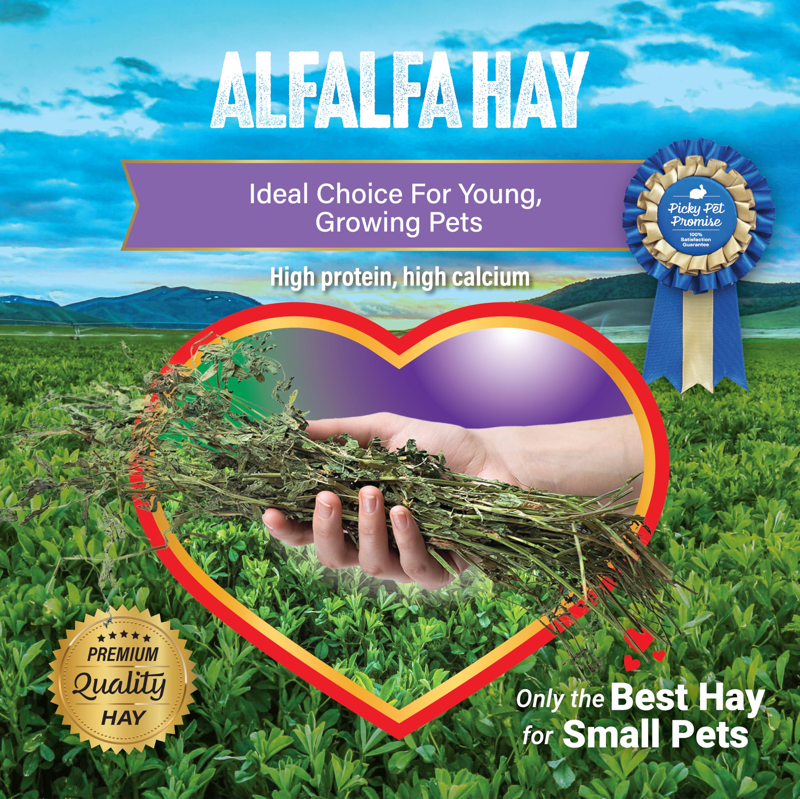 Premium Small Pet Alfalfa Hay - 20 LB High-Quality Natural Food for Rabbits, Guinea Pigs & Chinchillas | Perfect for Daily Feeding, Cage Bedding & Dental Health