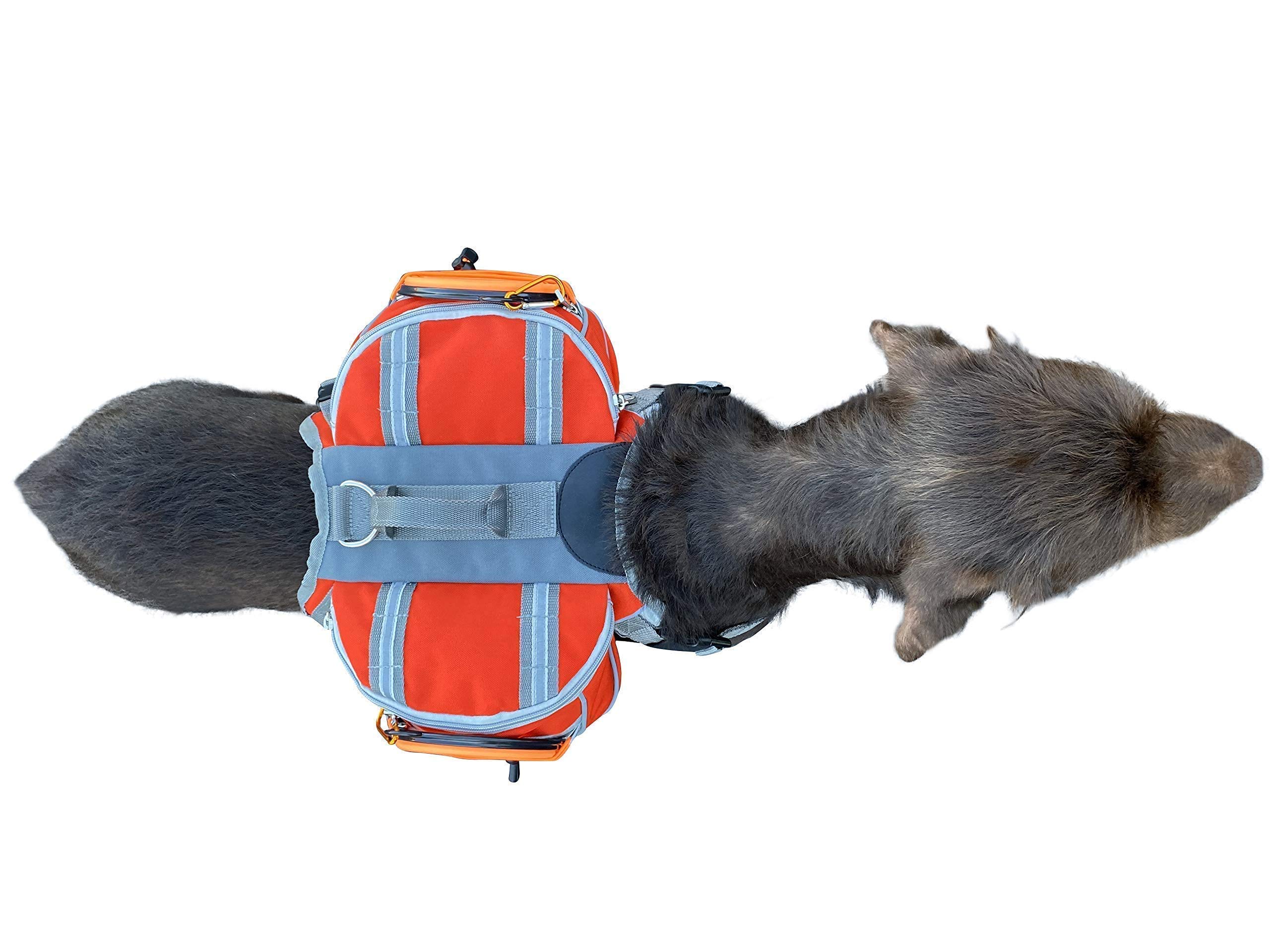 Durable Saddlebag Backpack & Harness Combo for Medium to Large Dogs (30-100+ lbs) - Reflective, Lightweight & Comfortable Dog Gear for Hiking, Camping & Travel - Includes 2 Collapsible Bowls (Large, Orange)