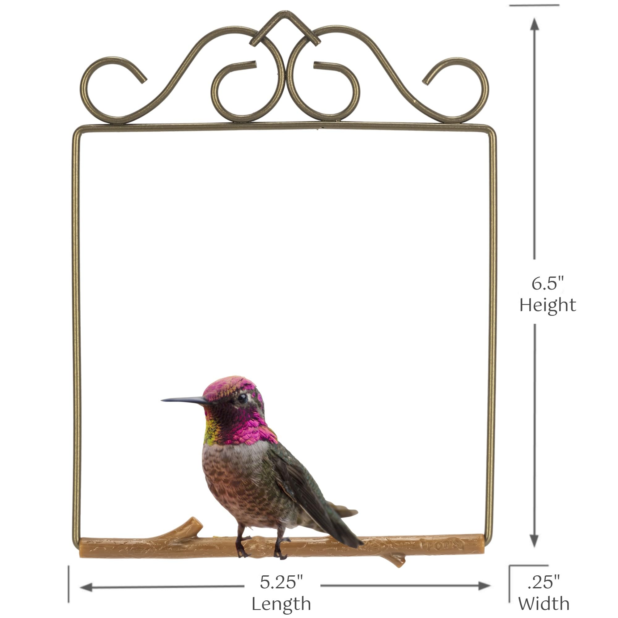 Original Hummingbird Swing for Outdoors - Handmade in USA Bird Perch for Small Wild Birds | Backyard Bird Watching Accessory | Perfect for Garden, Patio & Nature Observation - Includes Hook