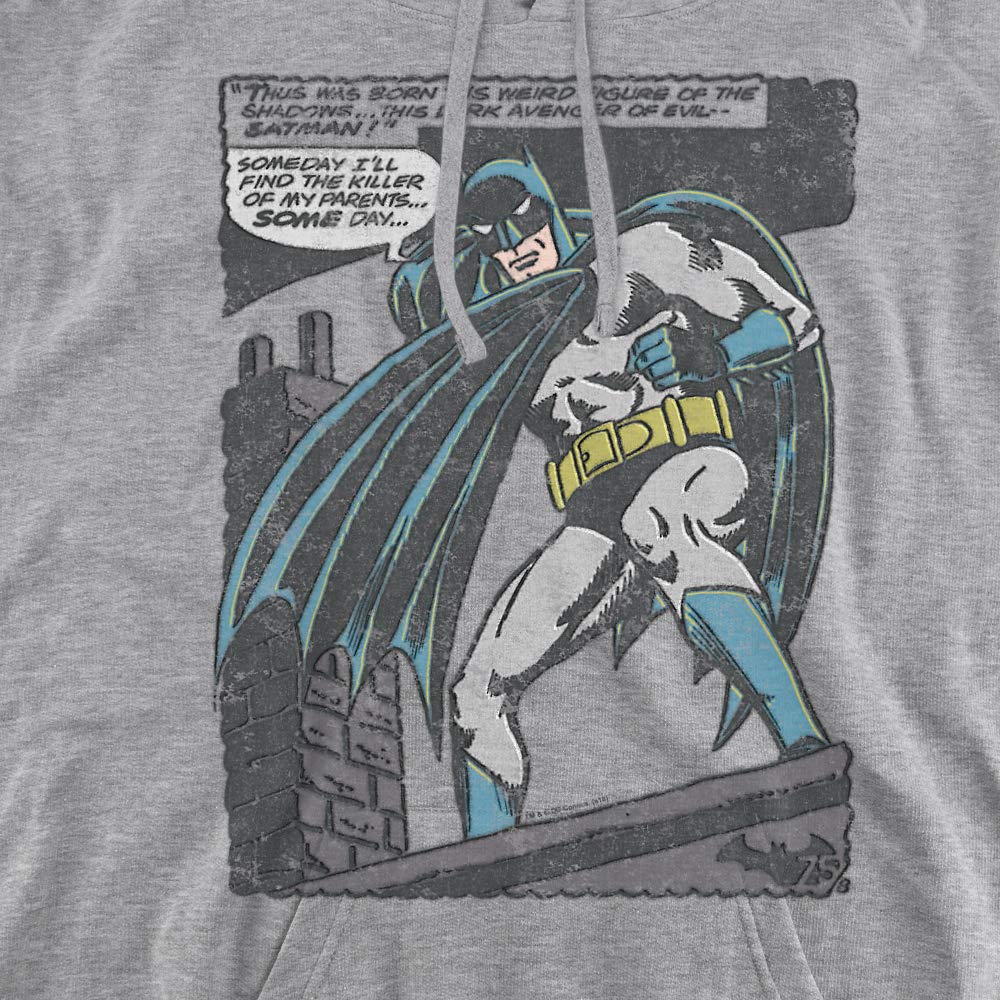 Trevco Batman Bat Origins Unisex Adult Pullover Hoodie | DC Comics Superhero Graphic Sweatshirt for Men & Women | Casual Wear, Cosplay & Gifts