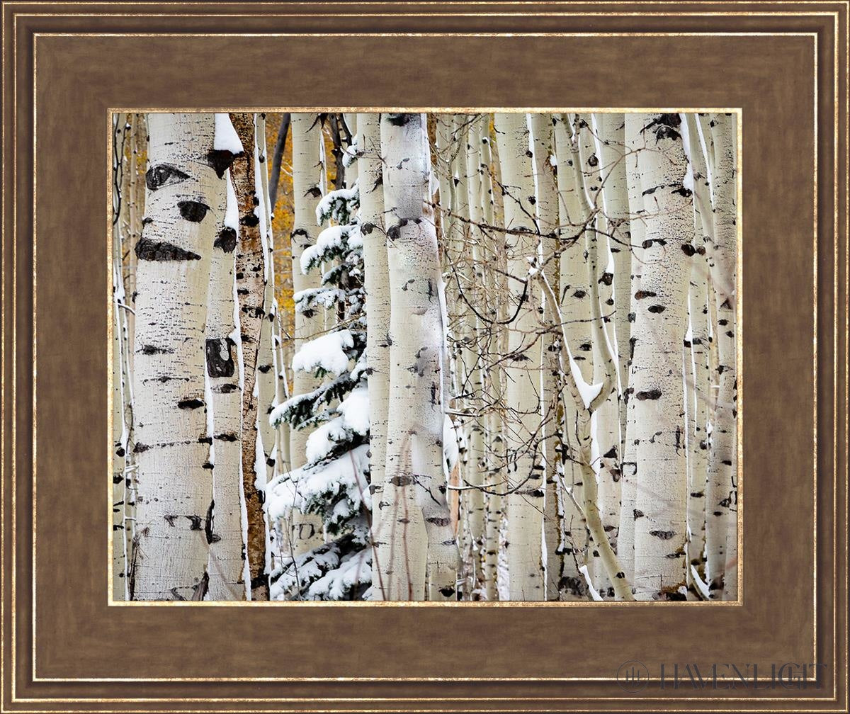 Christmas Around the Corner - Stunning Guardsman Pass Landscape Photo Print - Park City Utah Wall Art - Perfect for Holiday Home Decor & Winter Gift Ideas