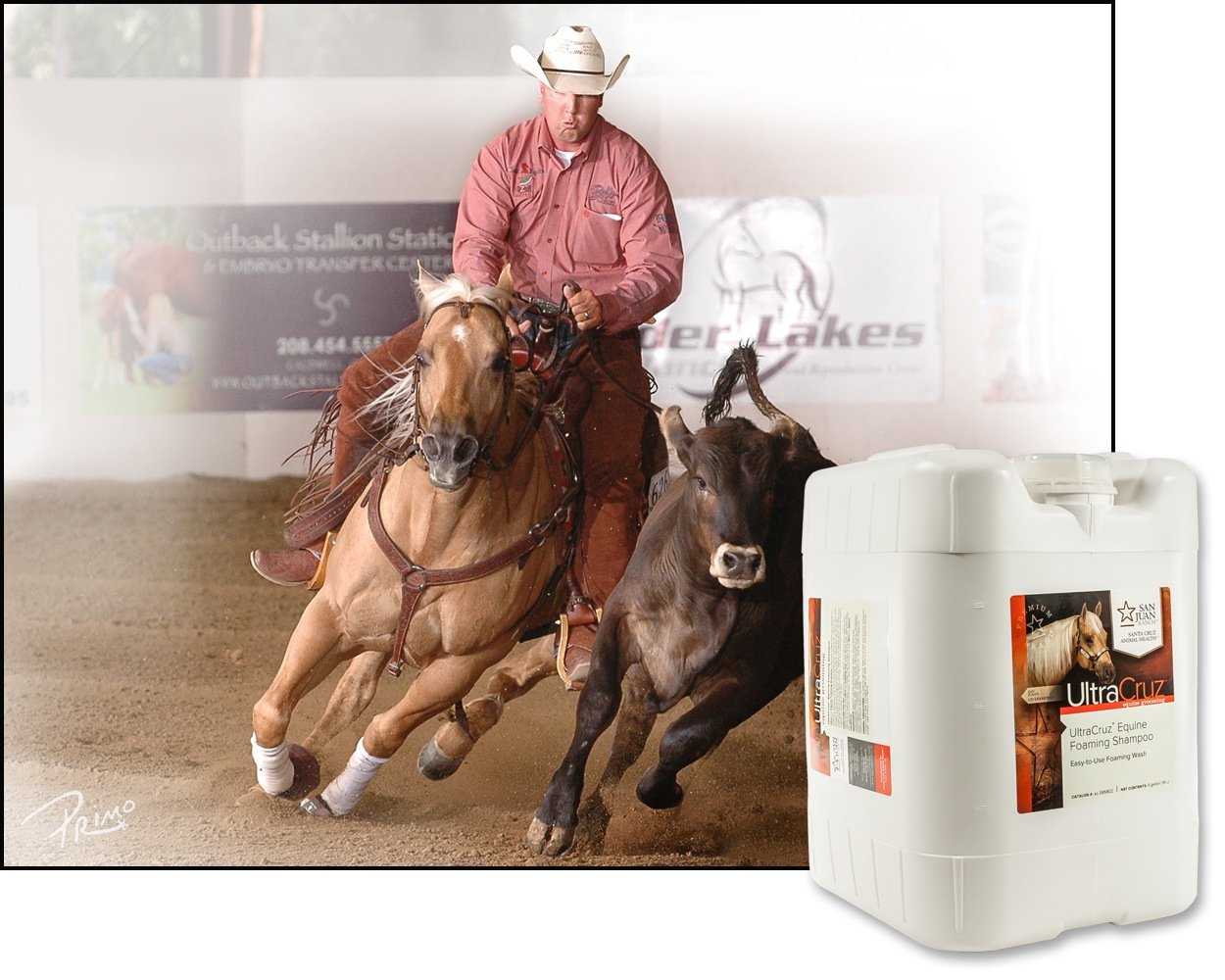 UltraCruz Equine Foaming Horse Shampoo Refill - 5 Gallon | Gentle Cleaning for Horses, Ponies & Show Animals | Ideal for Bathing, Grooming & Competition Prep