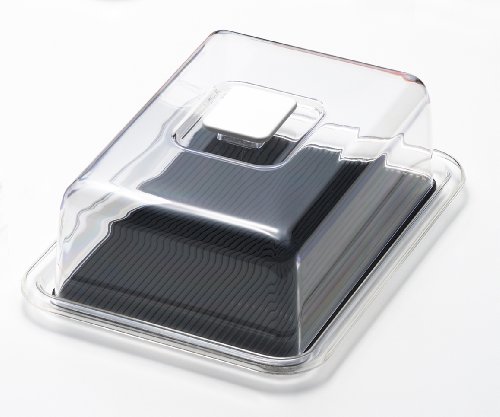 Black (Black 19-3911tcx)