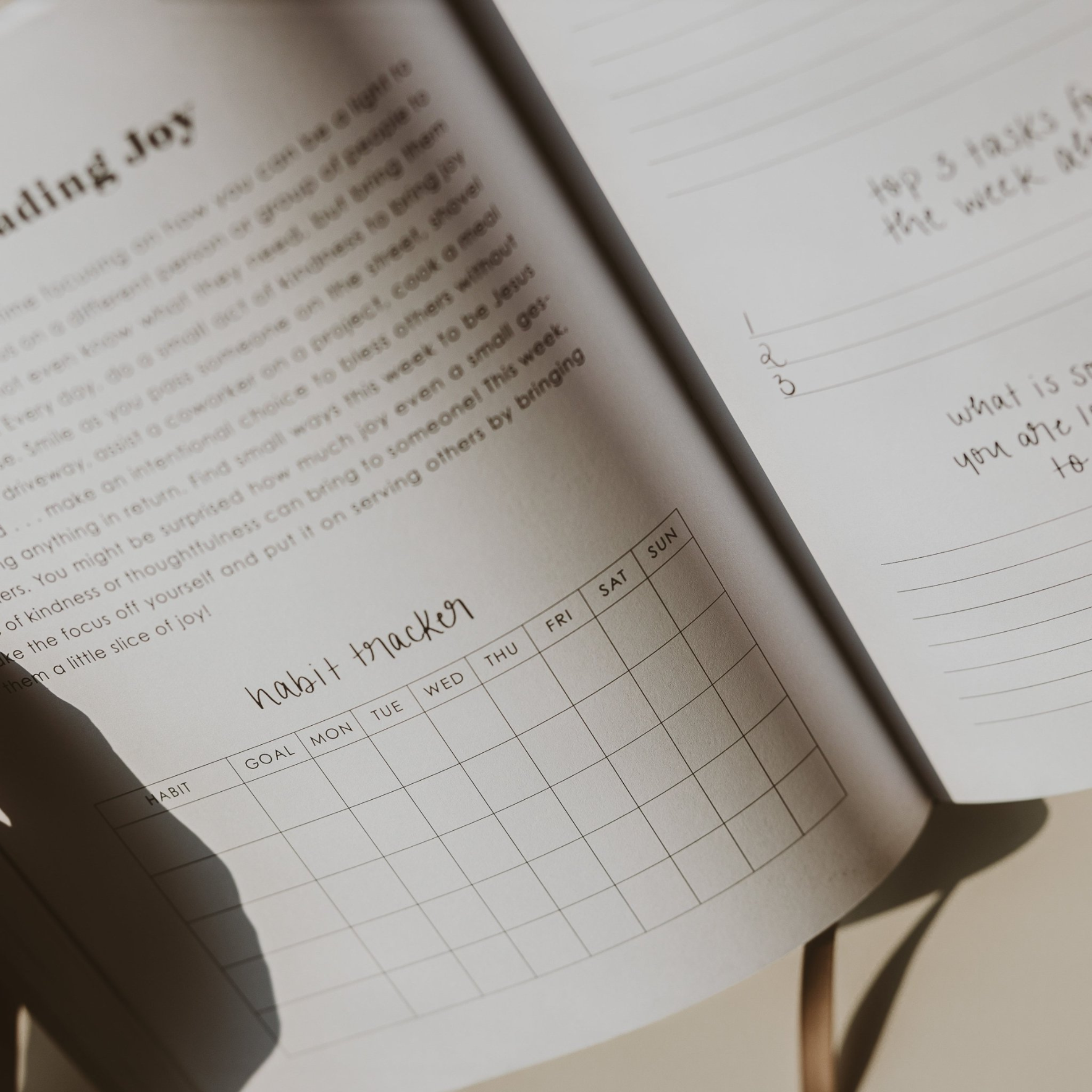 Best Inspirational Productivity Journal for Goal Setting & Time Management - Perfect for Students, Professionals & Entrepreneurs