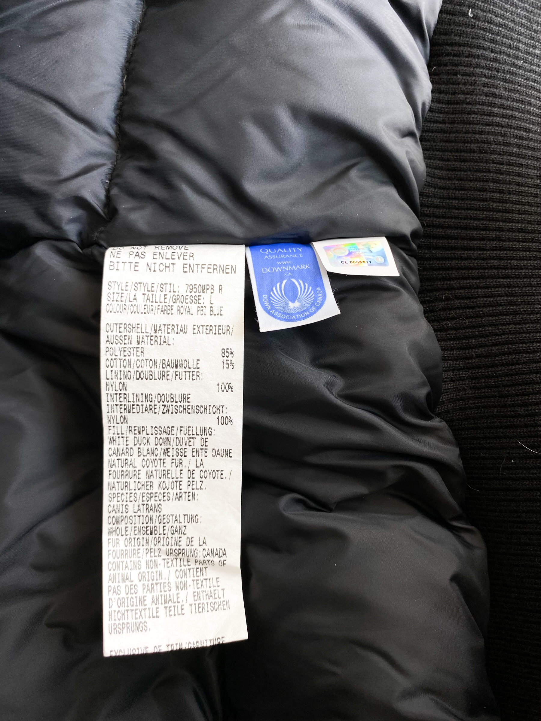 Canada Goose Royal PBI Blue Chilliwack Men's Bomber Jacket - Winter Parka for Cold Weather, Waterproof & Windproof - Perfect for Outdoor Activities, Skiing, and Urban Fashion