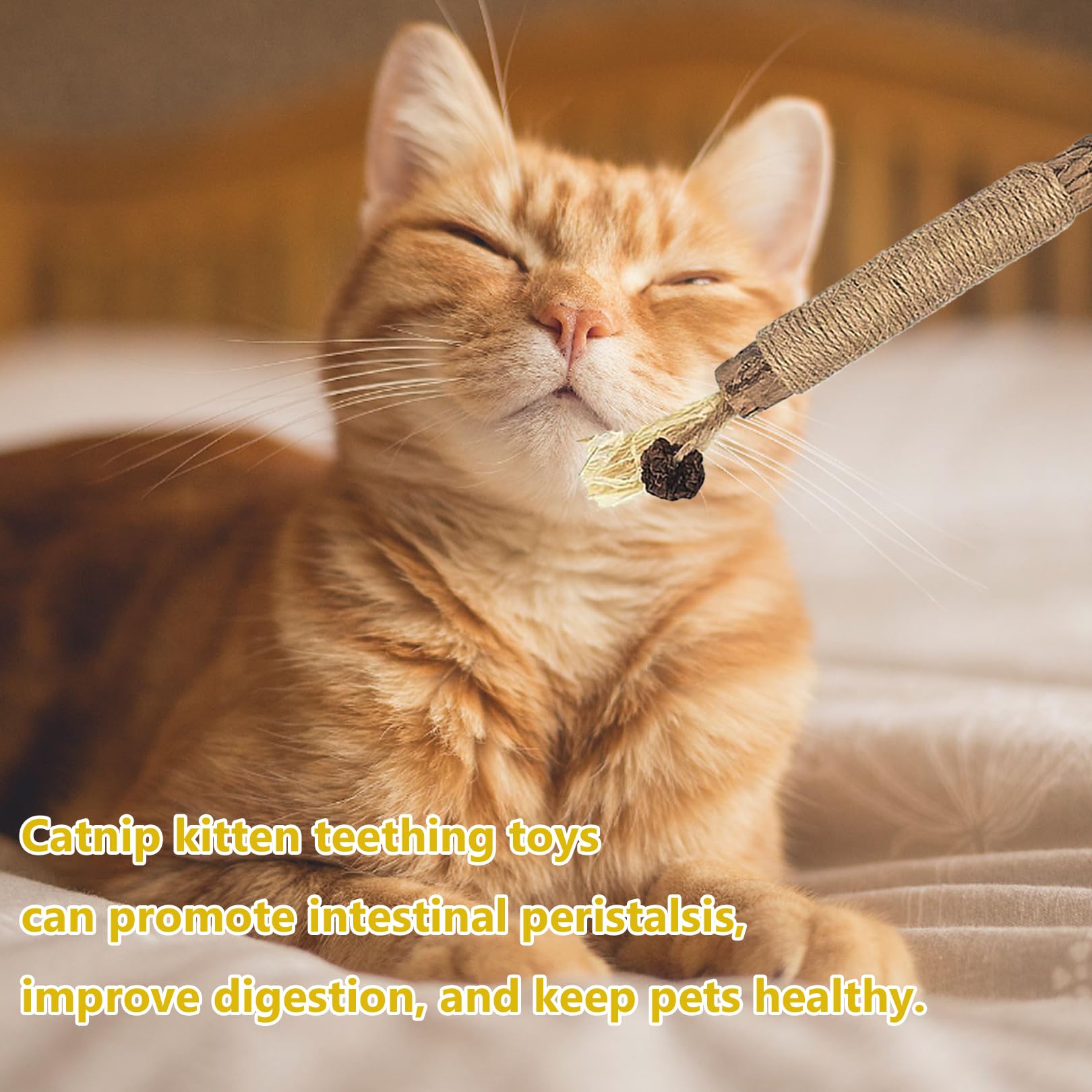 6 Pack Natural Silvervine Sticks for Kittens - Cat Teething Toys, Dental Chew Sticks for Teeth Cleaning, Catnip Chew Toys for Indoor Cats - Helps with Teething, Stress Relief & Oral Health (Great for Kittens & Adult Cats)