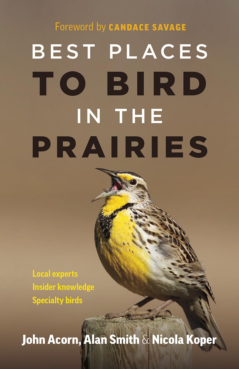Best Places for Bird Watching in the Prairies - Top Birding Spots & Travel Guide for Nature Enthusiasts | Perfect for Outdoor Adventures & Wildlife Photography