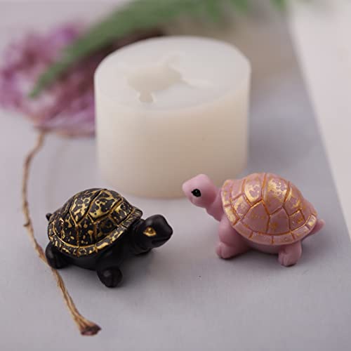 dm-turtle
