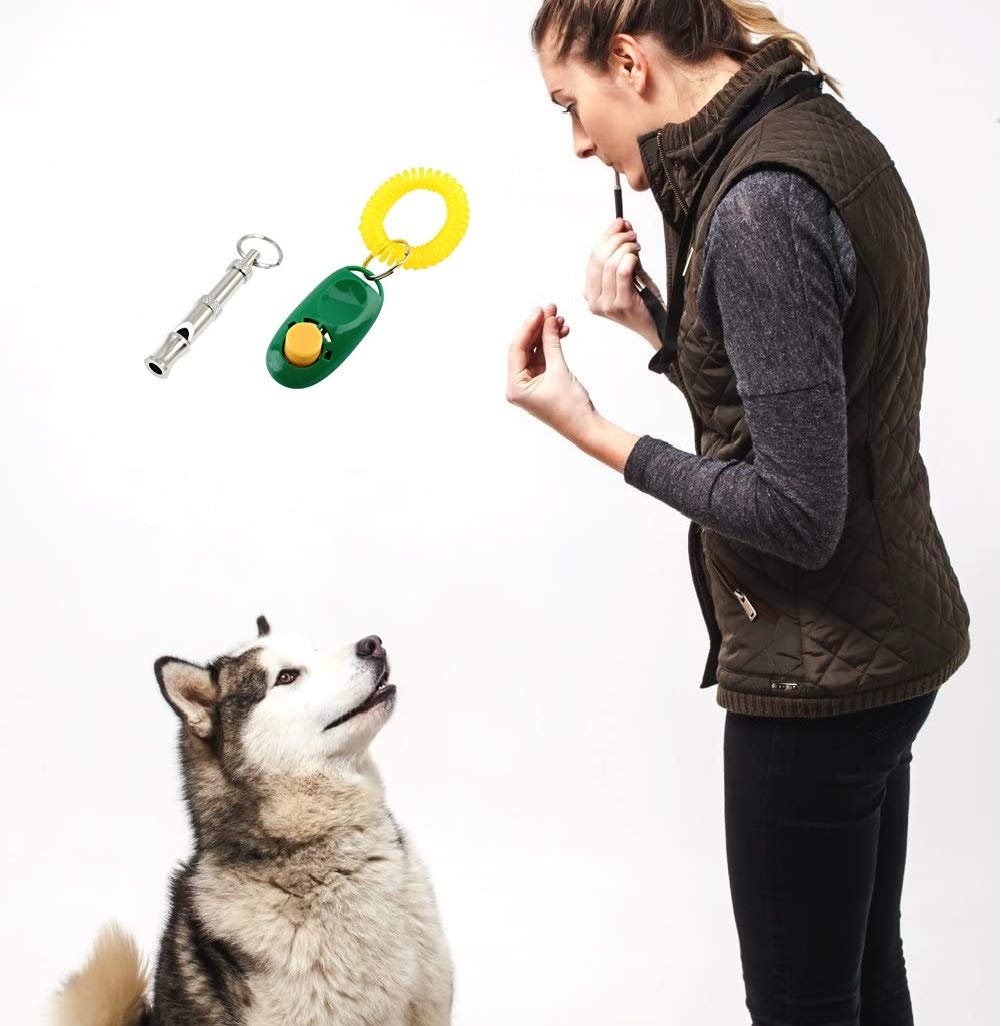 DDS Store Dog Training Whistle & Clicker Combo for Barking Control – Ultrasonic Dog Whistle with Lanyard & Training Clicker Kit with Wrist Strap (Pack of 1) – Perfect for Obedience Training, Puppy Behavior Correction & Outdoor Use