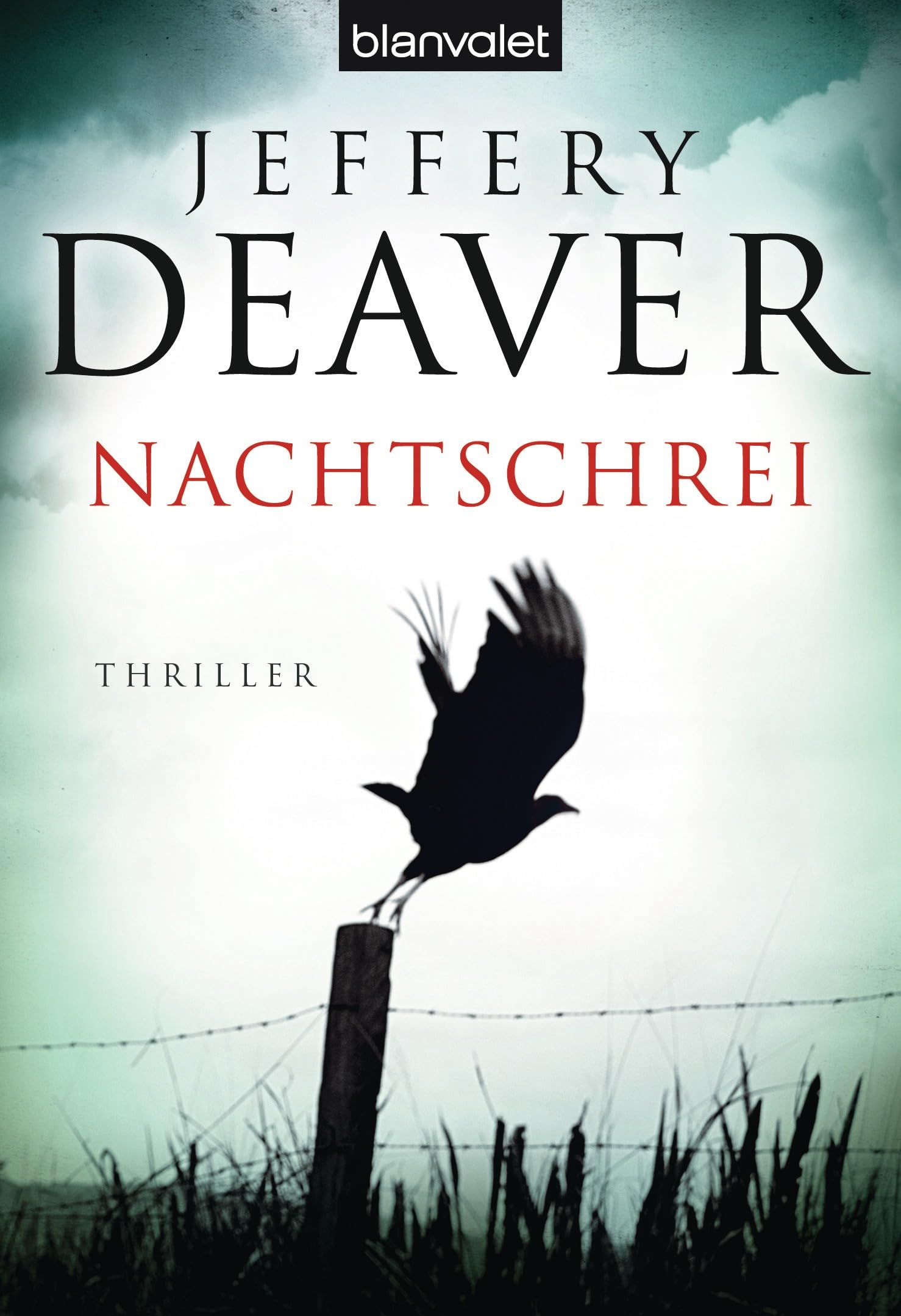 Nachtschrei Thriller - Suspenseful Nighttime Reading