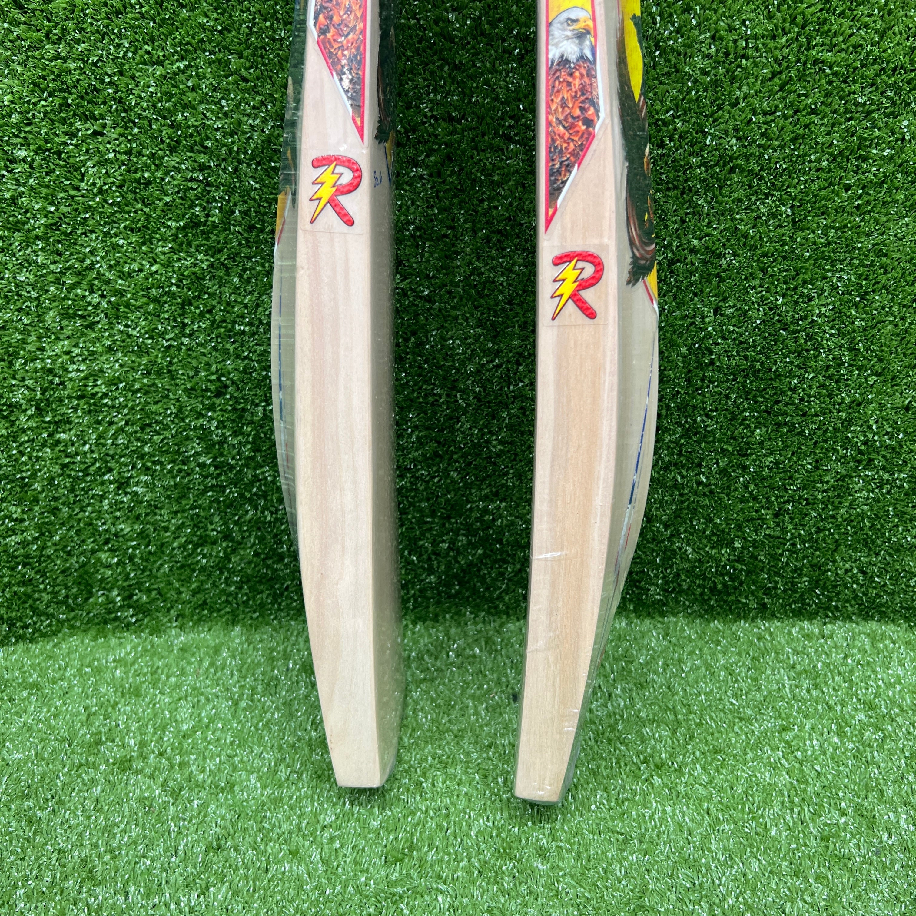 RAYDN Eagle Junior/Youth Kashmir Willow Cricket Bat - Surya Kumar Yadav Edition | Premium Quality for Young Players | Perfect for Cricket Practice & Matches