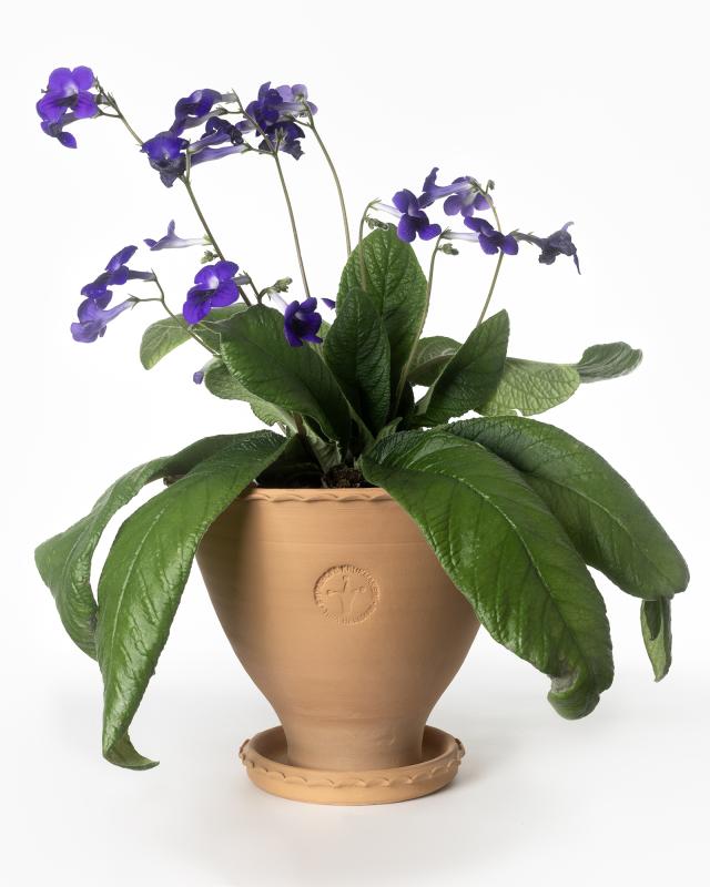 Premium Kruka Sturehof Adelcrantz 24cm Ceramic Flower Pot - Perfect for Indoor Plants, Home Decor & Garden Planting
