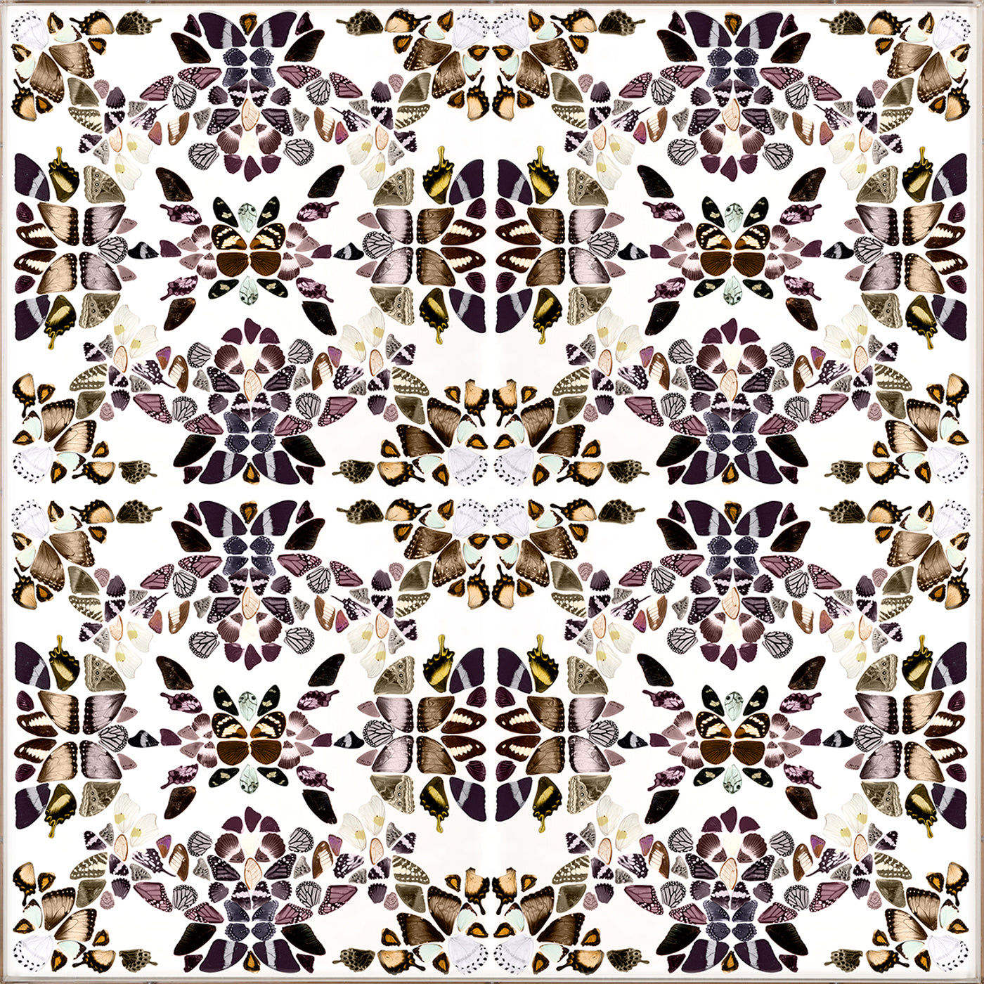 Butterfly Patterns 2 - Elegant Butterfly Design for DIY Crafts, Home Decor, Scrapbooking & Gift Wrapping | Perfect for Wall Art, Fabric Printing & Stationery Projects