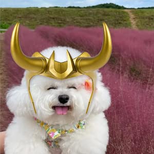Golden Viking Helmet Cosplay Crown - Adjustable Medieval Knight Costume Accessory for Halloween, Renaissance Fairs & LARP Events