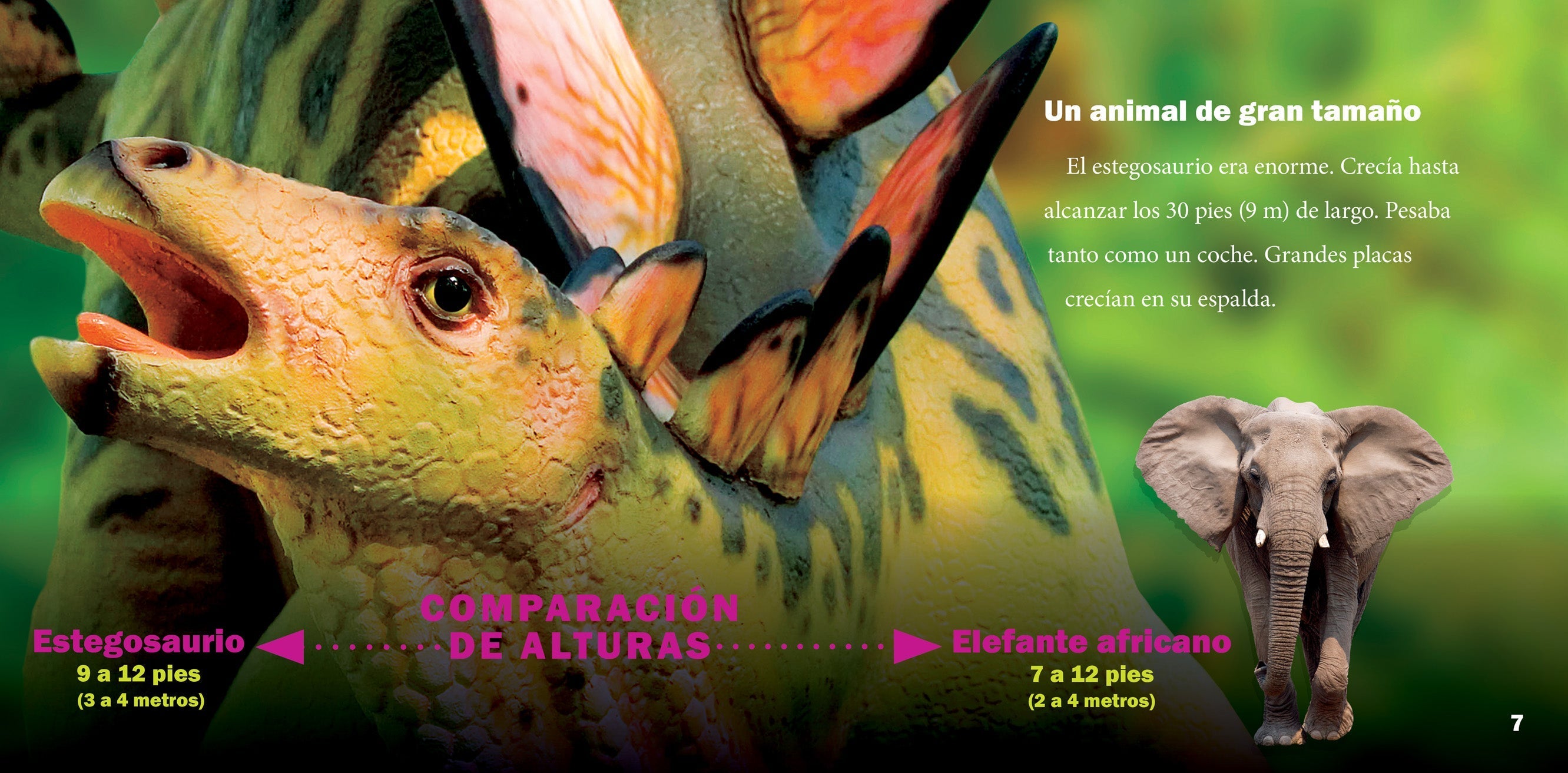 Estegosaurio Dinosaur Book 9781623105426 - Perfect for Kids' Education & Dinosaur Enthusiasts