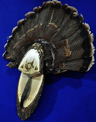 Premium Turkey Fan Mounting Kit - One of a Kind Turkey Fan and Beard Display for Hunting Trophies | Perfect for Wall Mounting, Cabin Decor, and Hunting Lodge Displays